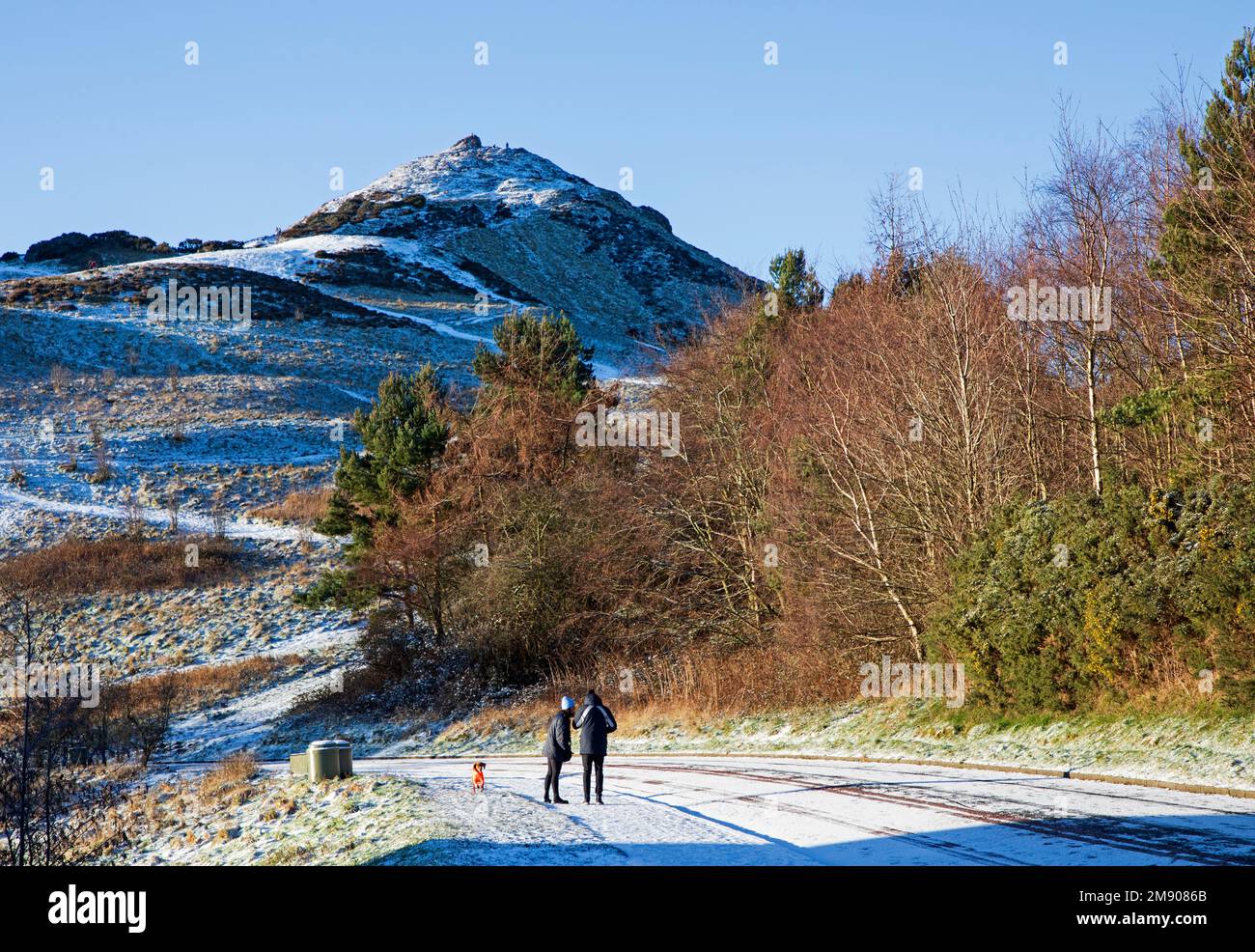 Holyrood Park, Edinburgh, Schottland, Großbritannien. 16. Januar 2023 Schneebedeckung und vereiste Straßen und Gehwege in der schottischen Hauptstadt, Morgentemperatur minus 3 Grad Celsius. Abbildung: Ein Spaziergang auf dem eisigen Bürgersteig mit dem Gipfel von Arthur's Seat im Hintergrund. Kredit: ArchWhite/alamy Live News. Stockfoto
