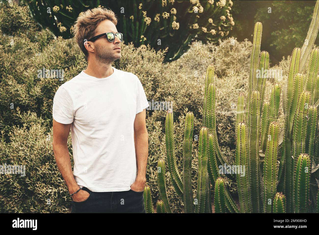 Ein blonder attraktiver Hipstertyp mit weißem, leerem Rührwerk und Sonnenbrille steht im Garten neben einem großen Kaktus neben seinem Fahrrad. Stockfoto