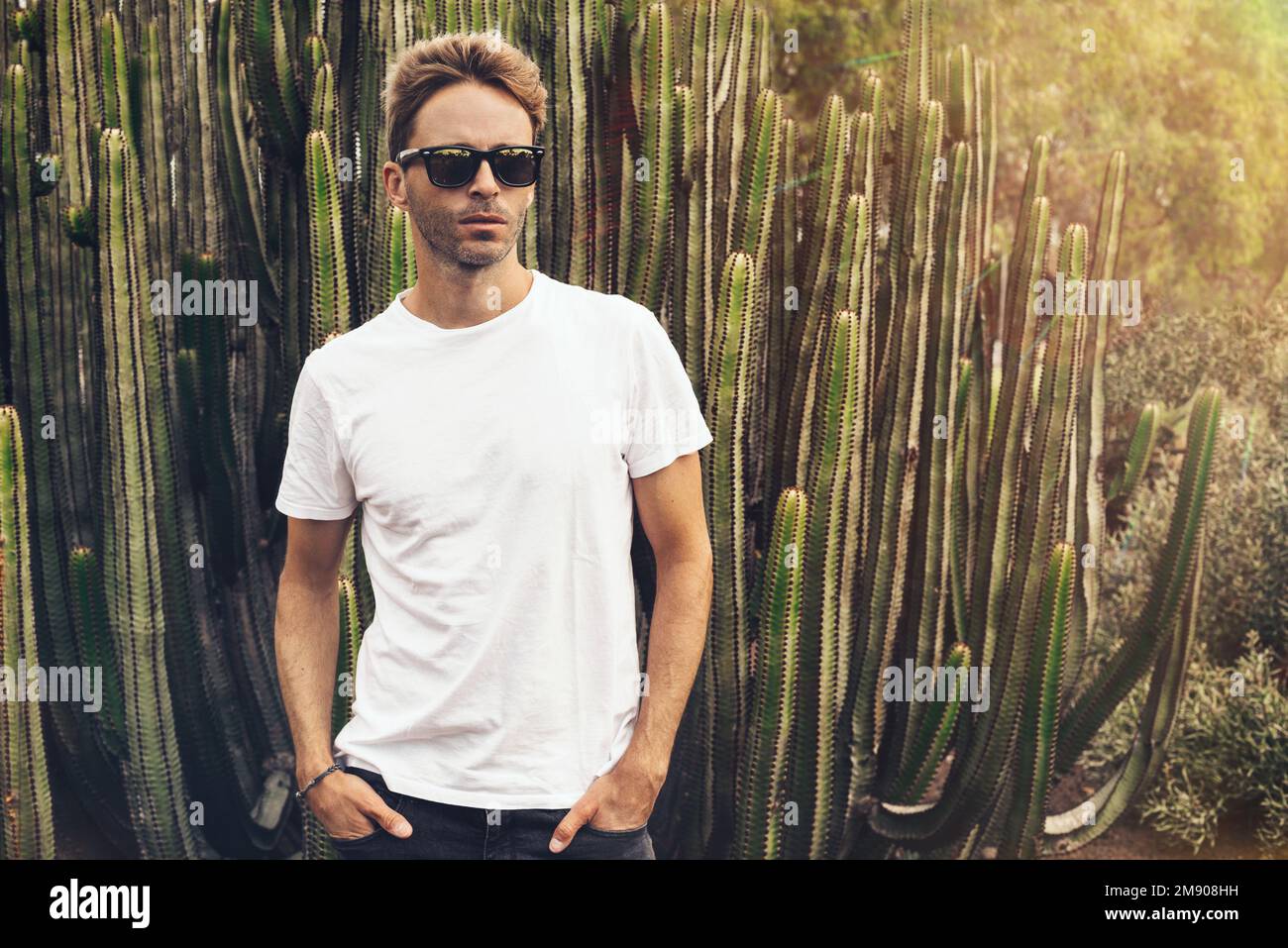 Blonder Hipster, männliches Model, das eine Sonnenbrille trägt und neben einem großen Kaktus posiert. Stockfoto