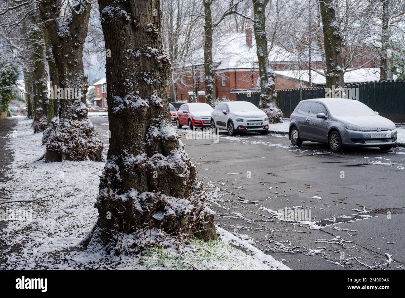 Newcastle upon Tyne, Großbritannien. 16. Januar 2023 Eine Vorstadtstraße im Schnee. Gelbe Wetterwarnung für Schnee und Eis, die die Reise zur Arbeit und Schule im Nordosten Englands beeinflussen, mit dem kalten Schnappschuss, der über die Woche weitergeht. Stockfoto