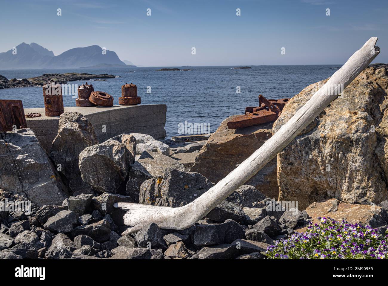 Überreste wurden in Nyksund, Vesteralen, Nordland, Norwegen gefunden Stockfoto