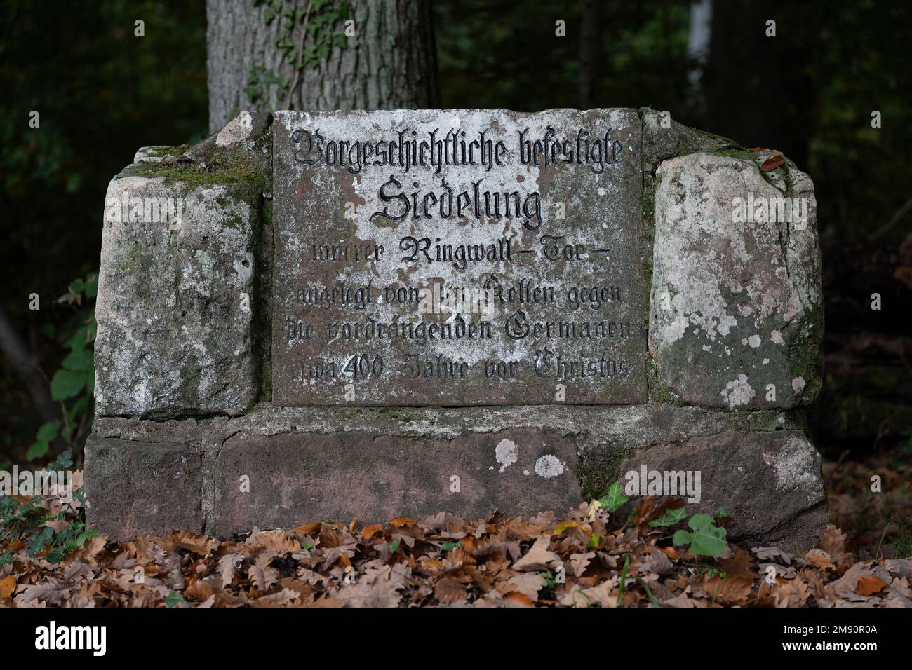 Übergewachsener alter Wegweiser mit deutscher Inschrift. Prähistorische Siedlung, innere Ringmauer, erbaut von den Kelten gegen die aufstrebenden Deutschen Stockfoto