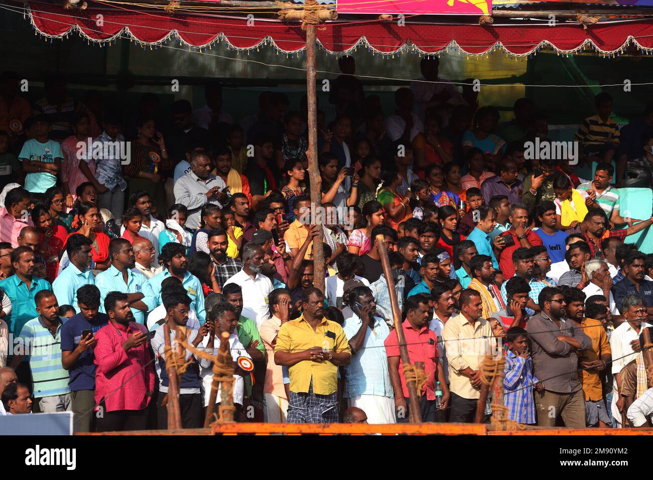 Madurai, Tamil Nadu, Indien. 16. Januar 2023. Im Dorf Palamedu am Stadtrand von Madurai in Tamilnadu können Besucher das jährliche traditionelle Stierzähmfest „Jallikkattu“ beobachten. Jallikattu ist ein traditioneller Tamil-Stierkampf-Sport, der während Pongal, einem Erntefest im indischen Bundesstaat Tamil Nadu, stattfindet. (Kreditbild: © Sri Loganathan/ZUMA Press Wire) NUR REDAKTIONELLE VERWENDUNG! Nicht für den kommerziellen GEBRAUCH! Kredit: ZUMA Press, Inc./Alamy Live News Stockfoto