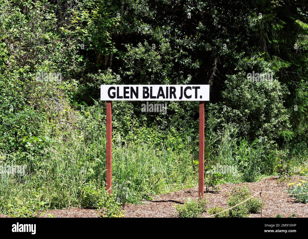 Die Mendocino Railway (der Skunk Train) ist eine historische Eisenbahn im Mendocino County, Kalifornien, mit dieser Linie von Fort Bragg entlang des Pudding Creek. Stockfoto