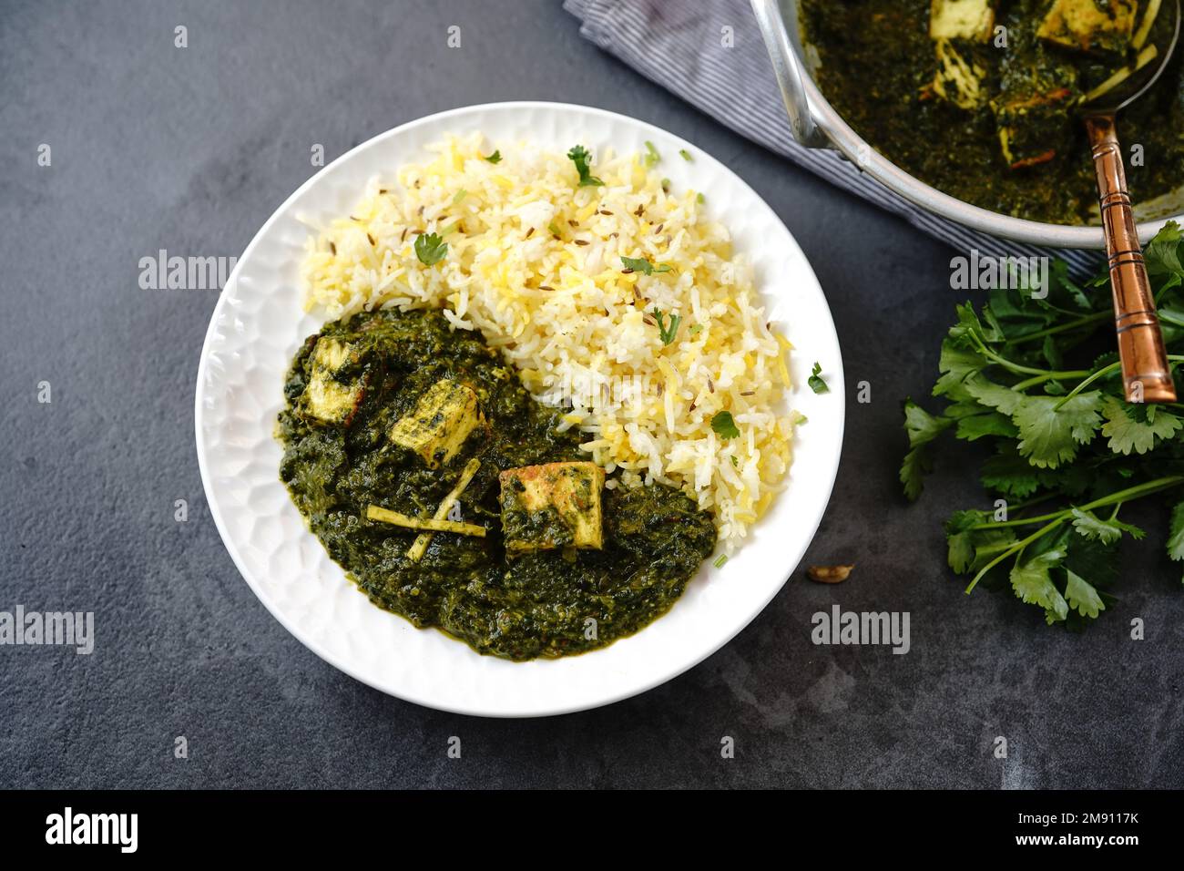Hausgemachtes Palak Paneer oder indisches Hüttenkäse, Spinat-Curry mit Reis Stockfoto