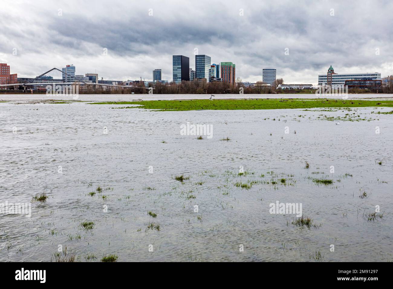 Steigender Wasserstand am Rhein in Düsseldorf, plus Regen und Sturm, Blick auf den Media Harbour, Hafeneingang Stockfoto