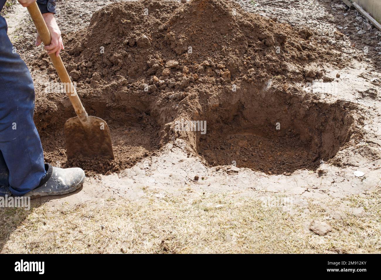 Ein Mann gräbt ein Loch, weil er einen Obstbaum im Garten pflanzt. Stockfoto