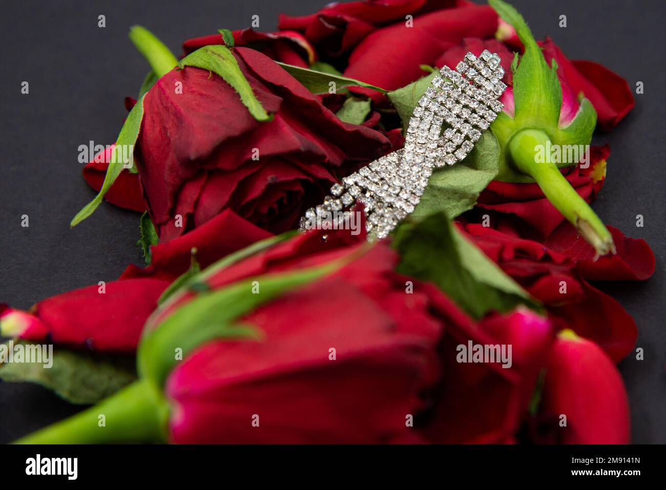 Diamantschmuck für Frauen in roten Rosenblumen auf schwarzem Hintergrund. Stockfoto