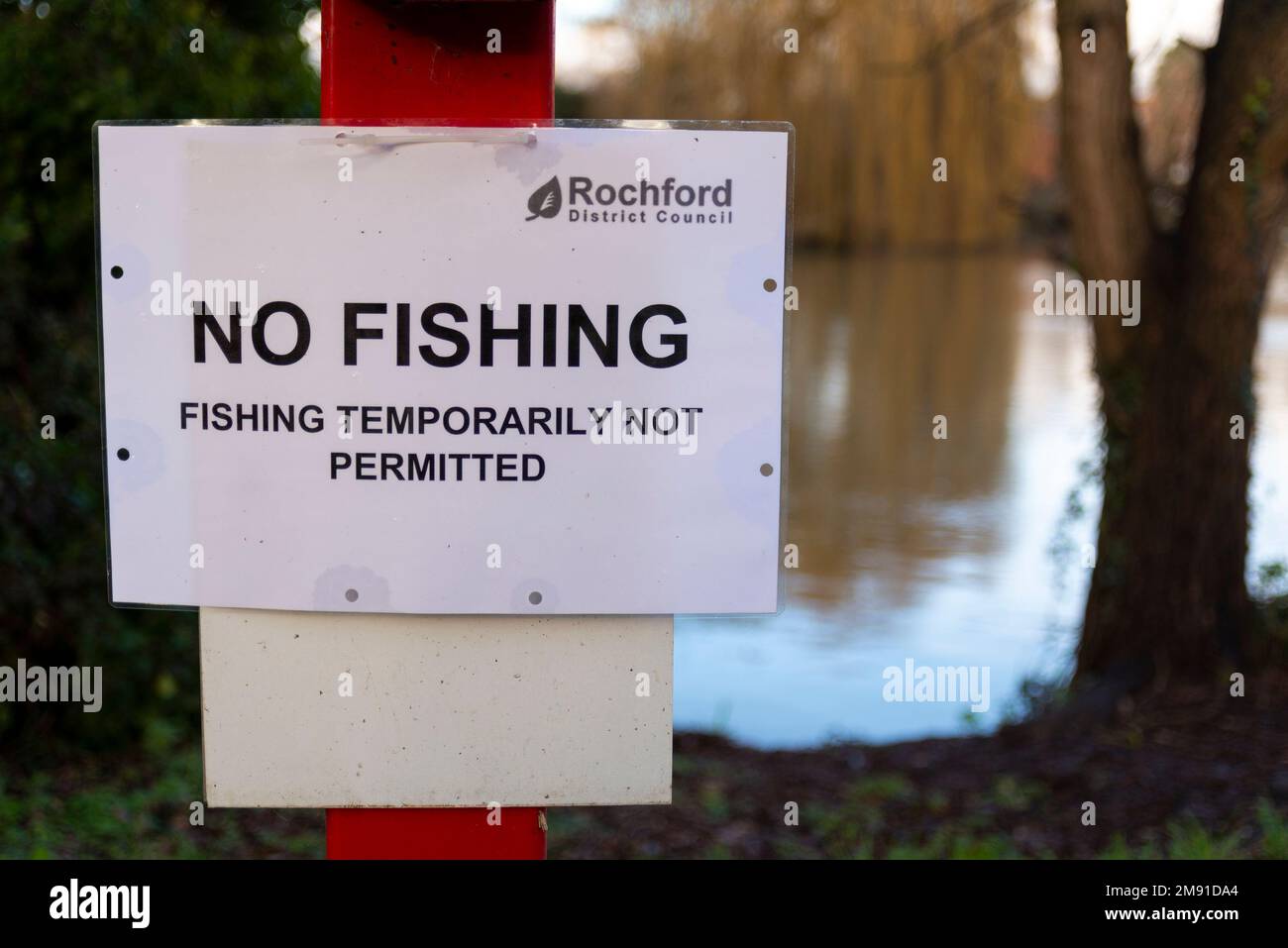 Rochford Reservoir, Rochford, Essex, Großbritannien. 16. Januar 2023. Ein einsamer Seehund hat seinen Weg von der Nordsee über den Fluss Roach in einen Süßwassersee gefunden. Sie lebt von den Fischbeständen, mit denen der See bevölkert ist, was die Angler vor Ort beunruhigt. Erstmals Mitte Dezember erörtern Rat, Umweltagentur, Taucher und die Wildtiermannschaft der Essex-Polizei, wie sie die Robbe entfernen und wieder in die Wildnis bringen können. Das Reservoir gehört dem Rochford Council, ist aber zur Bewirtschaftung der Angeln- und Fischbestände der Marks Hall Fisheries zugelassen. Kein Angelschild angebracht Stockfoto