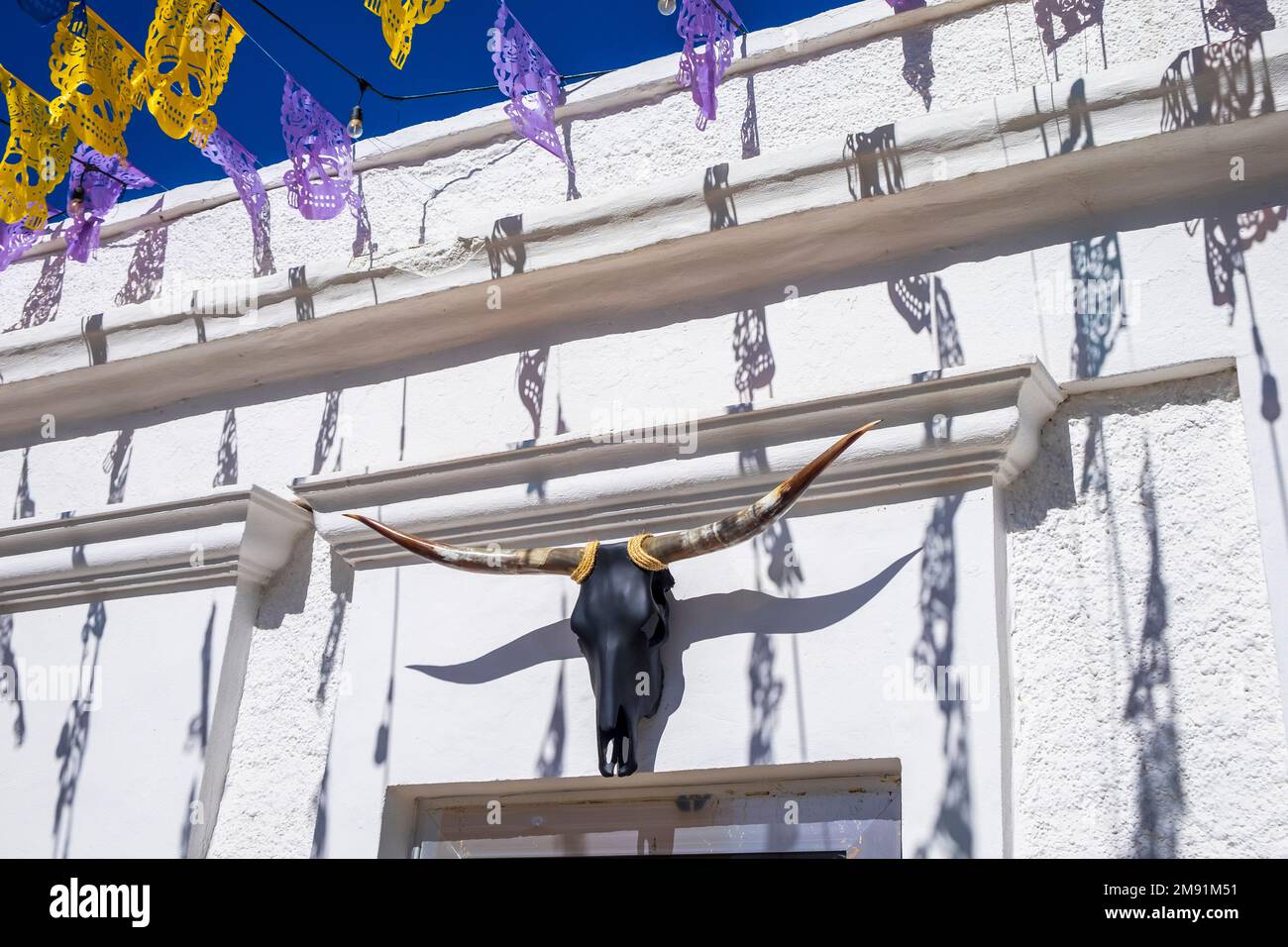 Longhorn Bull Schädel vor einer Kunstgalerie in San José del Cabo, Baja California, Mexiko Stockfoto