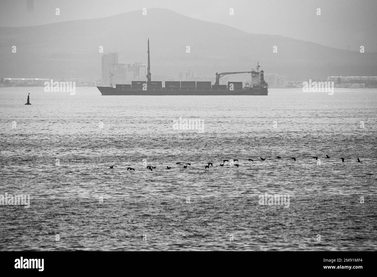 Die Graustufen eines Schiffes auf dem Meer mit einem Vogelschwarm im Hintergrund eines Berges in Kapstadt, Südafrika Stockfoto