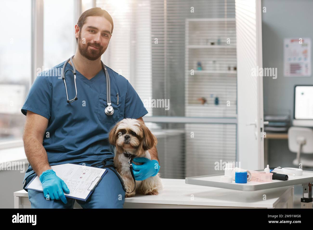 Junger erfolgreicher Tierarzt in blauer Uniform und Handschuhe halten niedlichen yorkshire Terrier und Dokument, während sie im Büro auf dem medizinischen Tisch sitzen Stockfoto