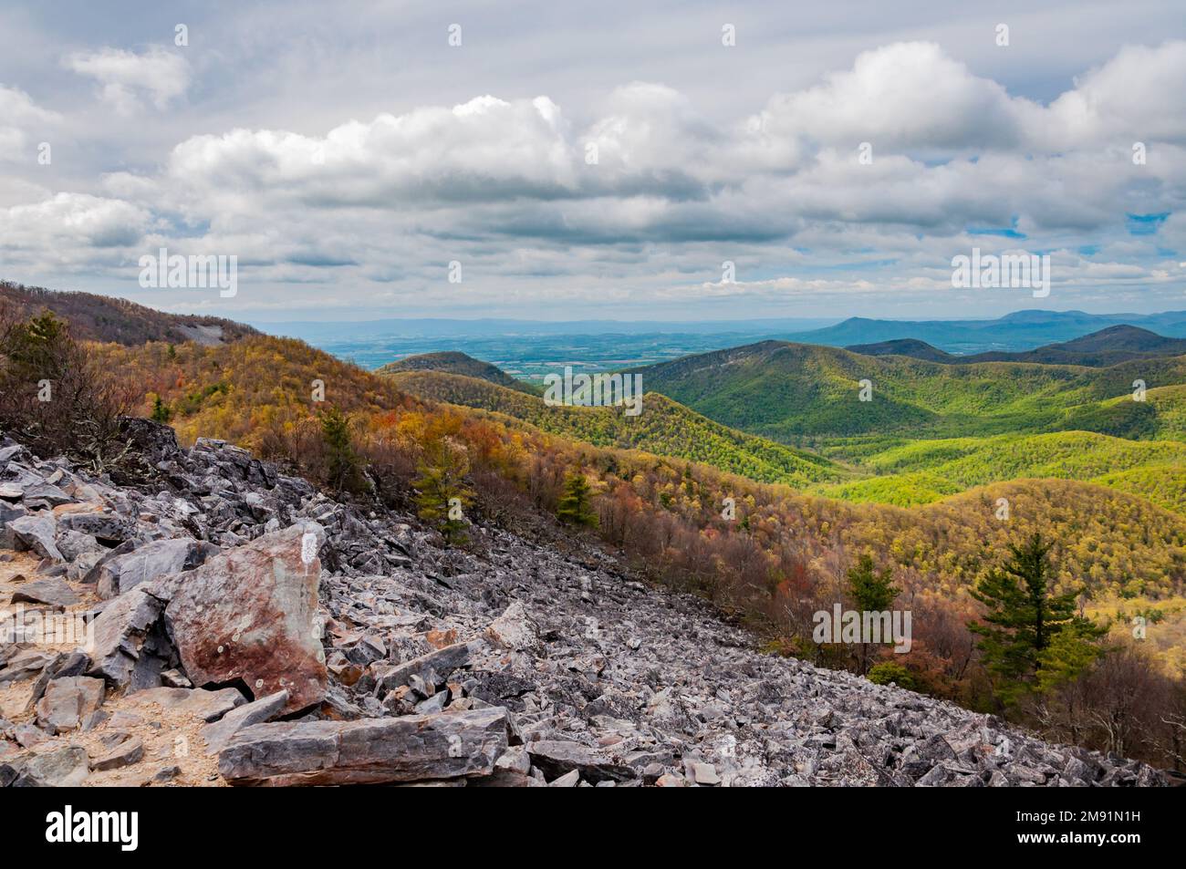 Wandern auf dem Appalachian Trail am Frühlingstag, Virginia, USA, Stockfoto