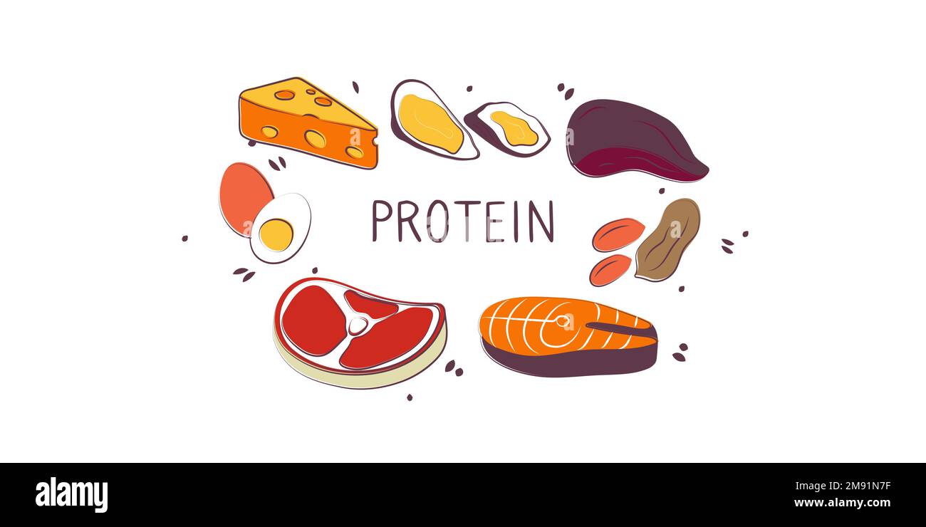 Eiweißhaltige Lebensmittel. Gruppen von gesunden Produkten, die Vitamine und Mineralien enthalten. Obst, Gemüse, Fleisch, Fisch und Milchprodukte. Stock Vektor