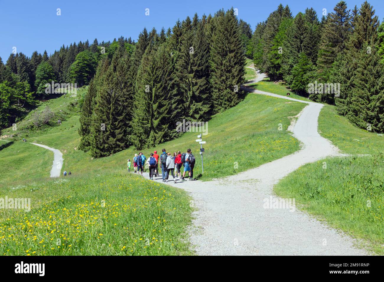 Stilvolle Spazieren Gehen Bei Erkltung Bilder