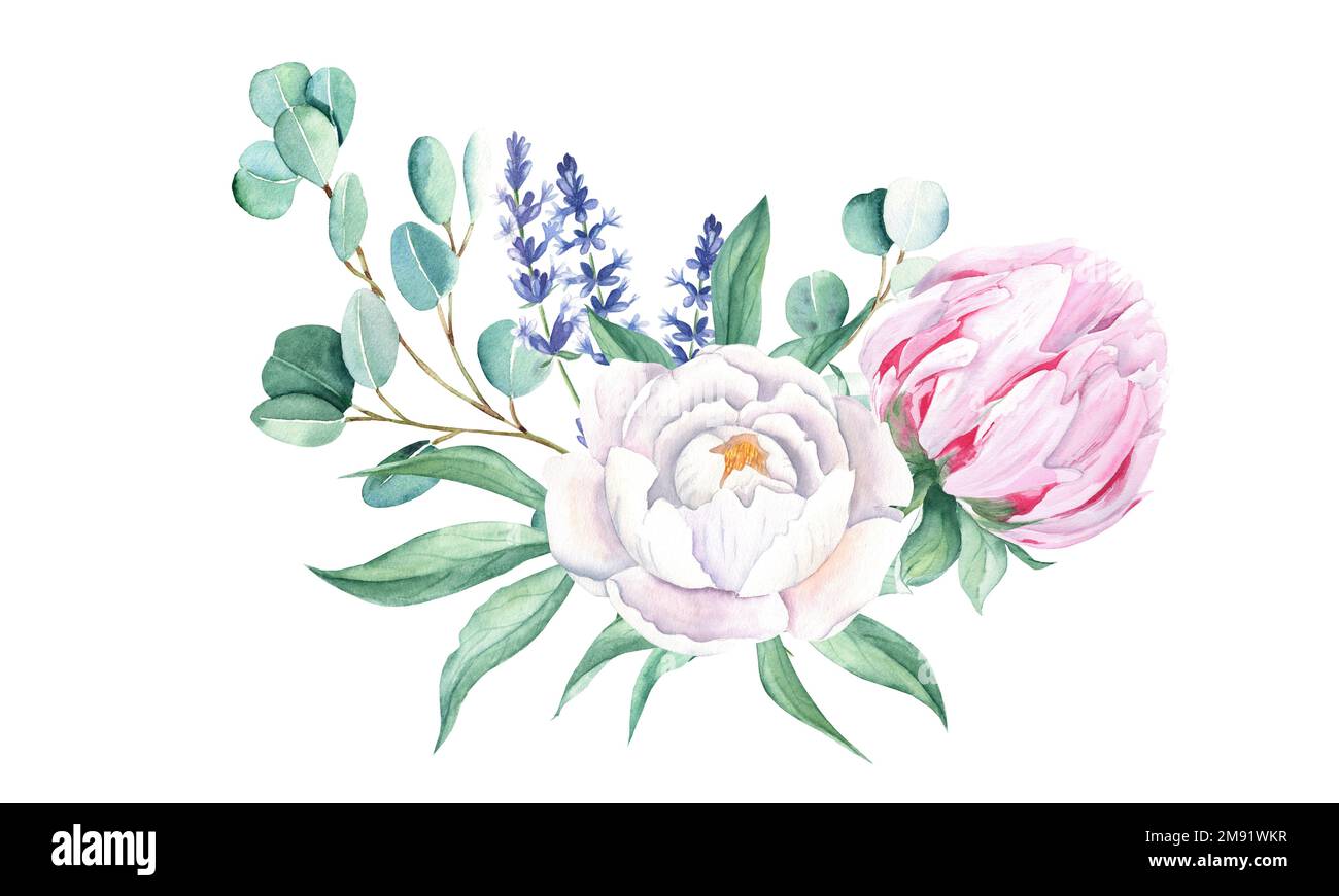 Aquarell, weiße und pinkfarbene Pfingstrosen, Lavendel, Eukalyptus. Handgemalte Abbildung isoliert auf weißem Hintergrund. Kann für Grußkarten verwendet werden Stockfoto