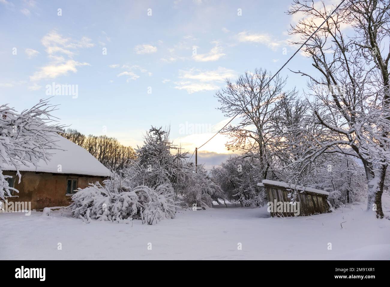 Schneebedeckte Baumzweige an einem Wintertag mit einem Felshaus und einem elektrischen Pol vor einem blauen und bewölkten Himmel Stockfoto