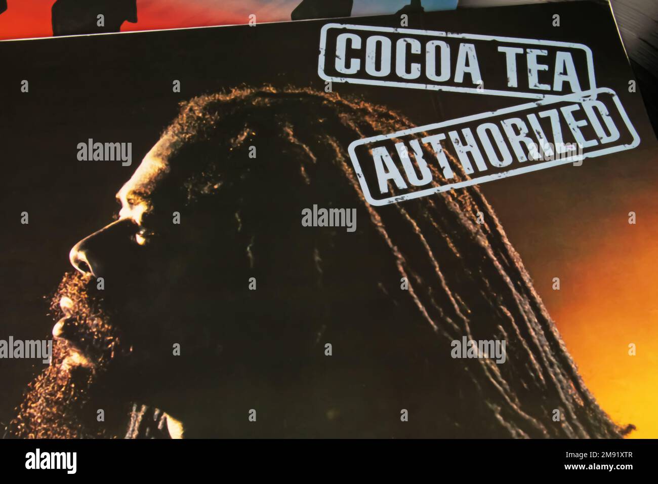 Viersen, Deutschland - November 9. 2022 Uhr: Nahaufnahme der isolierten Vinylplatte Best of Album des jamaikanischen Reggae-Sängers Cocoa Tea Stockfoto