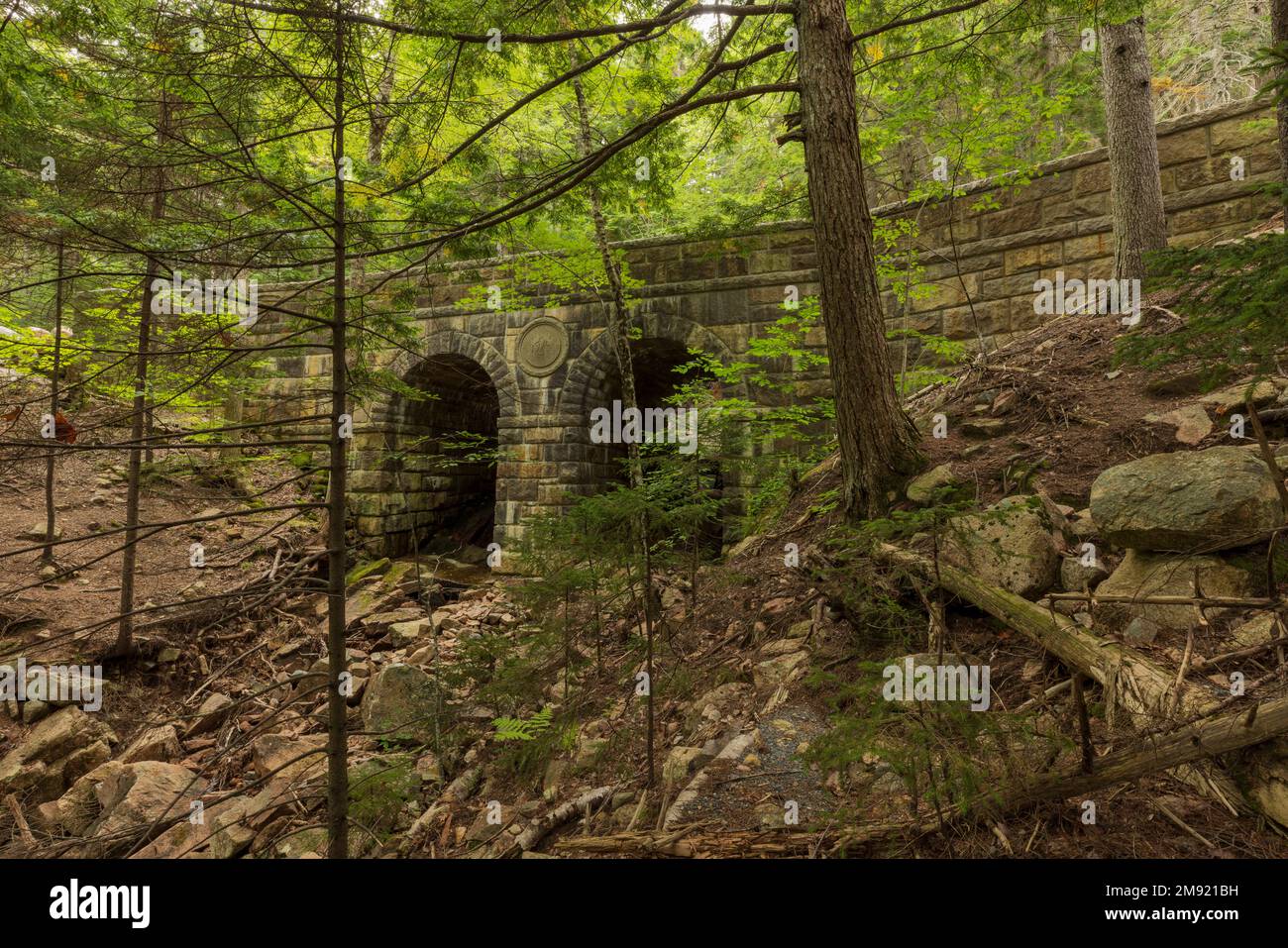 Deer Brook Bridge an der Carriage Road im Acadia-Nationalpark, Maine Stockfoto