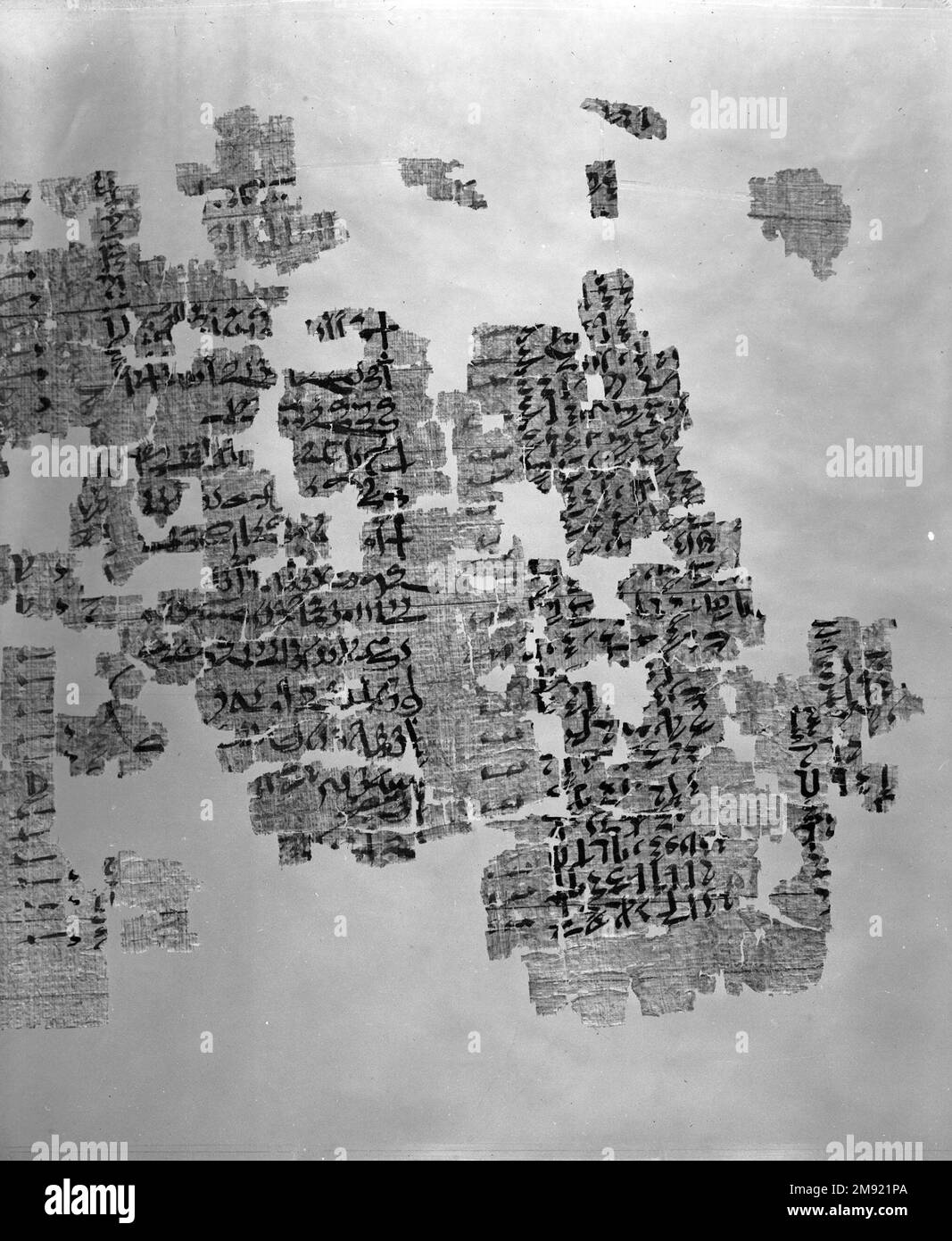 Teil eines historischen Textes Teil eines historischen Textes, ca. 1809-1743 B.C.E. Papyrus, Tinte, 35,1446a-e: 11 1/2 x 71 5/8 Zoll (29,2 x 182 cm). Nach der Fertigstellung war das Papyrus, zu dem dieses Fragment gehörte, fast 1,80 m lang. Die Texte sind in einer kursiven Form von Hieroglyphen geschrieben, die Hieratisch genannt werden. Unterschiede in der Handschrift und in den beschriebenen historischen Ereignissen zeigen, dass verschiedene Schriftzeichen über mehrere Generationen hinweg neue Inschriften hinzugefügt haben. Der wichtigste Text beschreibt die Bemühungen einer dreizehnten Dynastie Theban-Adelsfrau namens Senebtisi, die rechtmäßige Eigentümerschaft von neunzig... Stockfoto