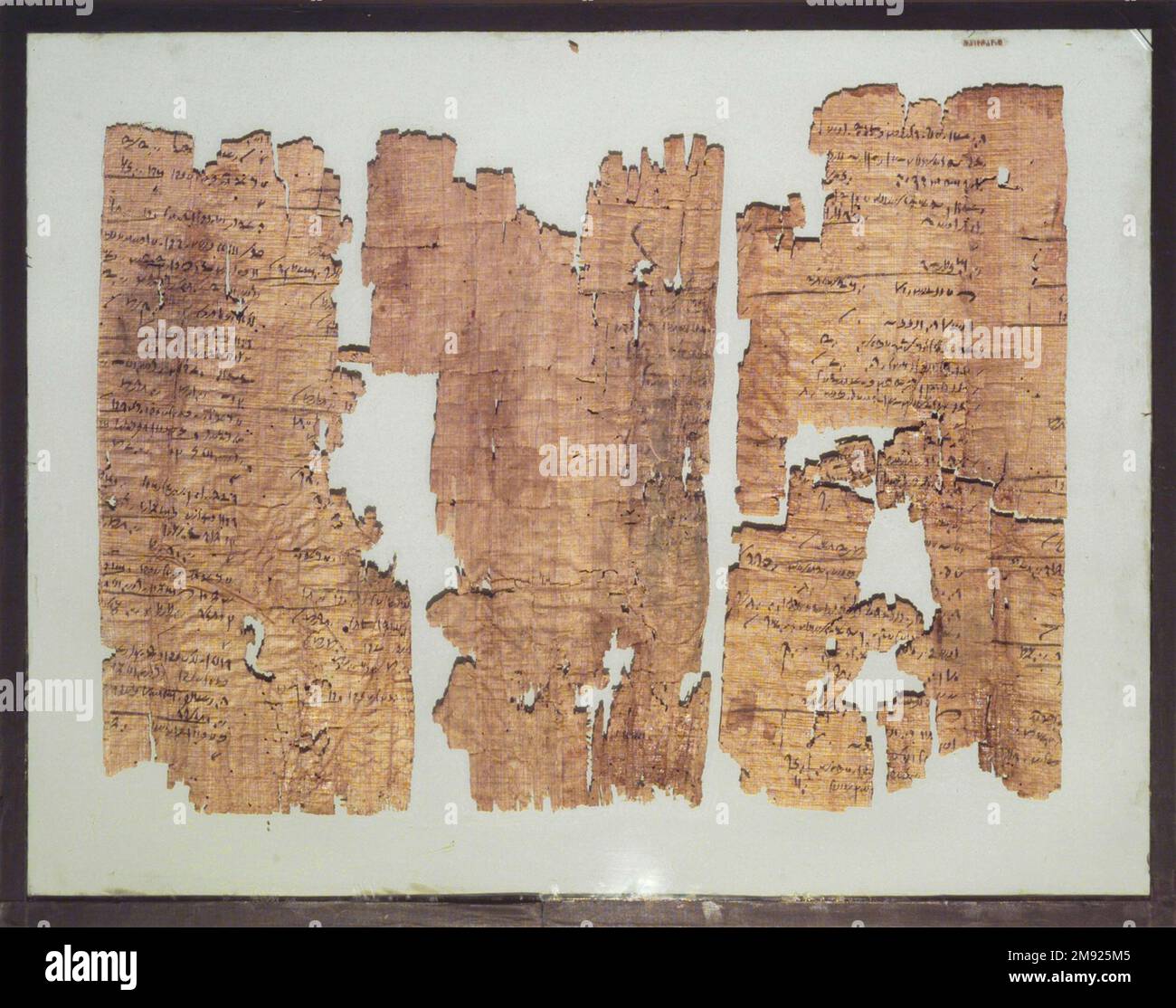 Illustriert Papyrus illustriert Papyrus, 4.3. Jahrhundert v.C.E