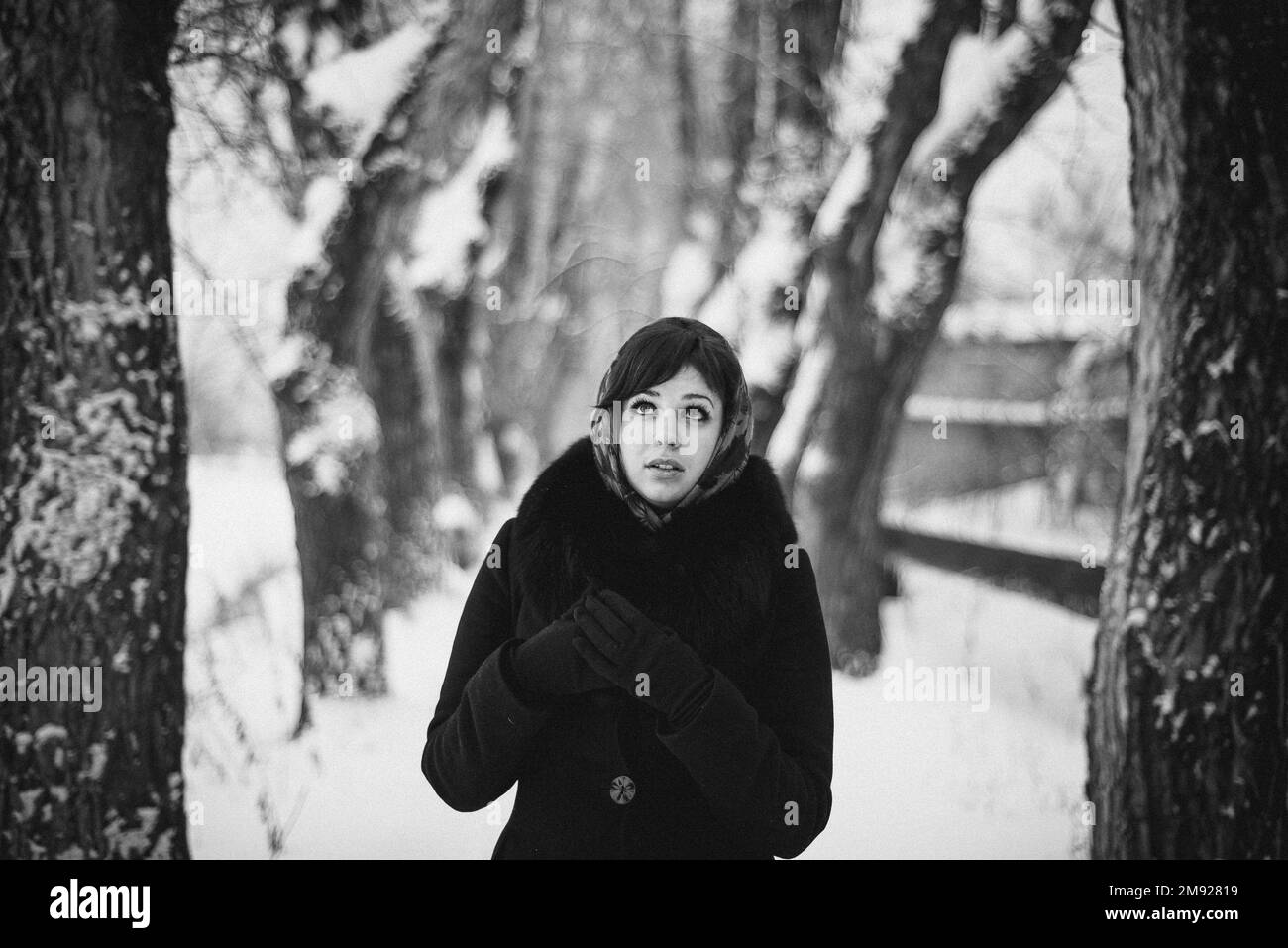 Schwarz-Weiß-Porträt eines Mädchens im Schal im Winter im Wald Stockfoto