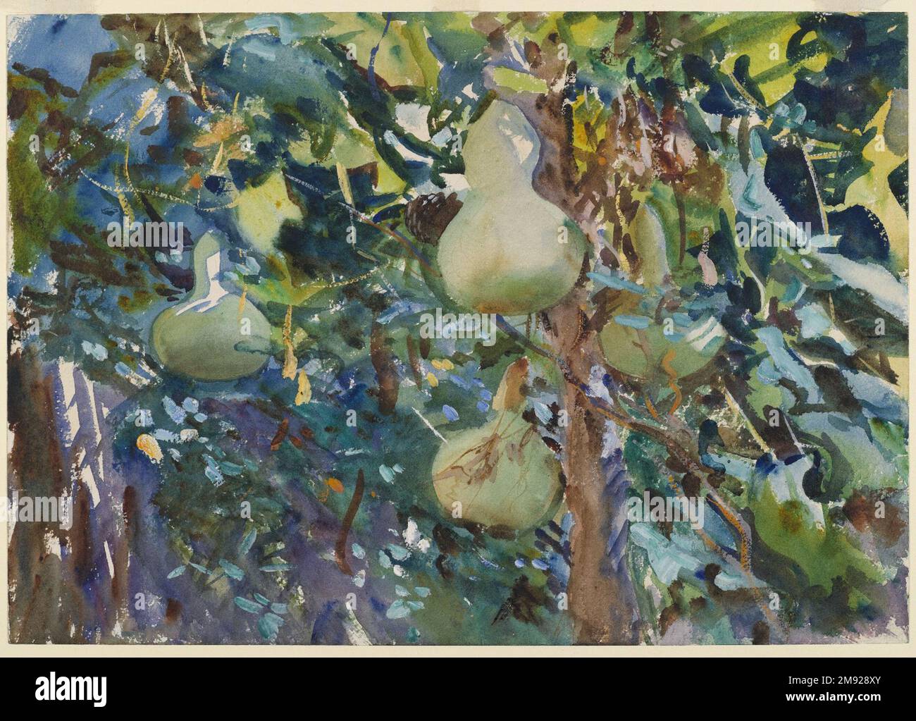 Gourds John Singer Sargent (Amerikaner, geboren in Italien, 1856-1925). Kürbisse, 1908. Undurchsichtige und lichtdurchlässige Aquarelle mit Graphitunterzeichnung, 13 13/16 x 19 11/16in. (35,1 x 50cm). Sargents außergewöhnliche Virtuosität ist in Rippchen zu sehen, gemalt auf Mallorca im Sommer oder Herbst 1908, nur wenige Monate vor dem New Yorker Debüt seiner Aquarelle. Sargent verließ sich in allen Wasserfarben seines Gartens auf das bildliche Gerüst von Skulpturenformen, um seine üppige Bilanz von lebendigem Licht zu verankern, das über Blätter und Blumen fiel. Hier die Früchte, leuchtend mit dünnen Wäschen und freiliegenden Papierflächen, Stockfoto
