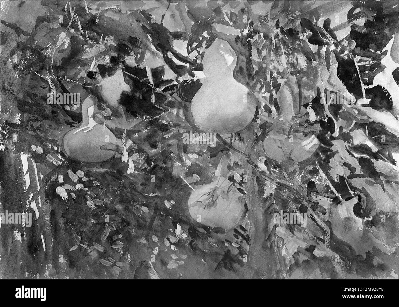 Gourds John Singer Sargent (Amerikaner, geboren in Italien, 1856-1925). Kürbisse, 1908. Undurchsichtige und lichtdurchlässige Aquarelle mit Graphitunterzeichnung, 13 13/16 x 19 11/16in. (35,1 x 50cm). Sargents außergewöhnliche Virtuosität ist in Rippchen zu sehen, gemalt auf Mallorca im Sommer oder Herbst 1908, nur wenige Monate vor dem New Yorker Debüt seiner Aquarelle. Sargent verließ sich in allen Wasserfarben seines Gartens auf das bildliche Gerüst von Skulpturenformen, um seine üppige Bilanz von lebendigem Licht zu verankern, das über Blätter und Blumen fiel. Hier die Früchte, leuchtend mit dünnen Wäschen und freiliegenden Papierflächen, Stockfoto