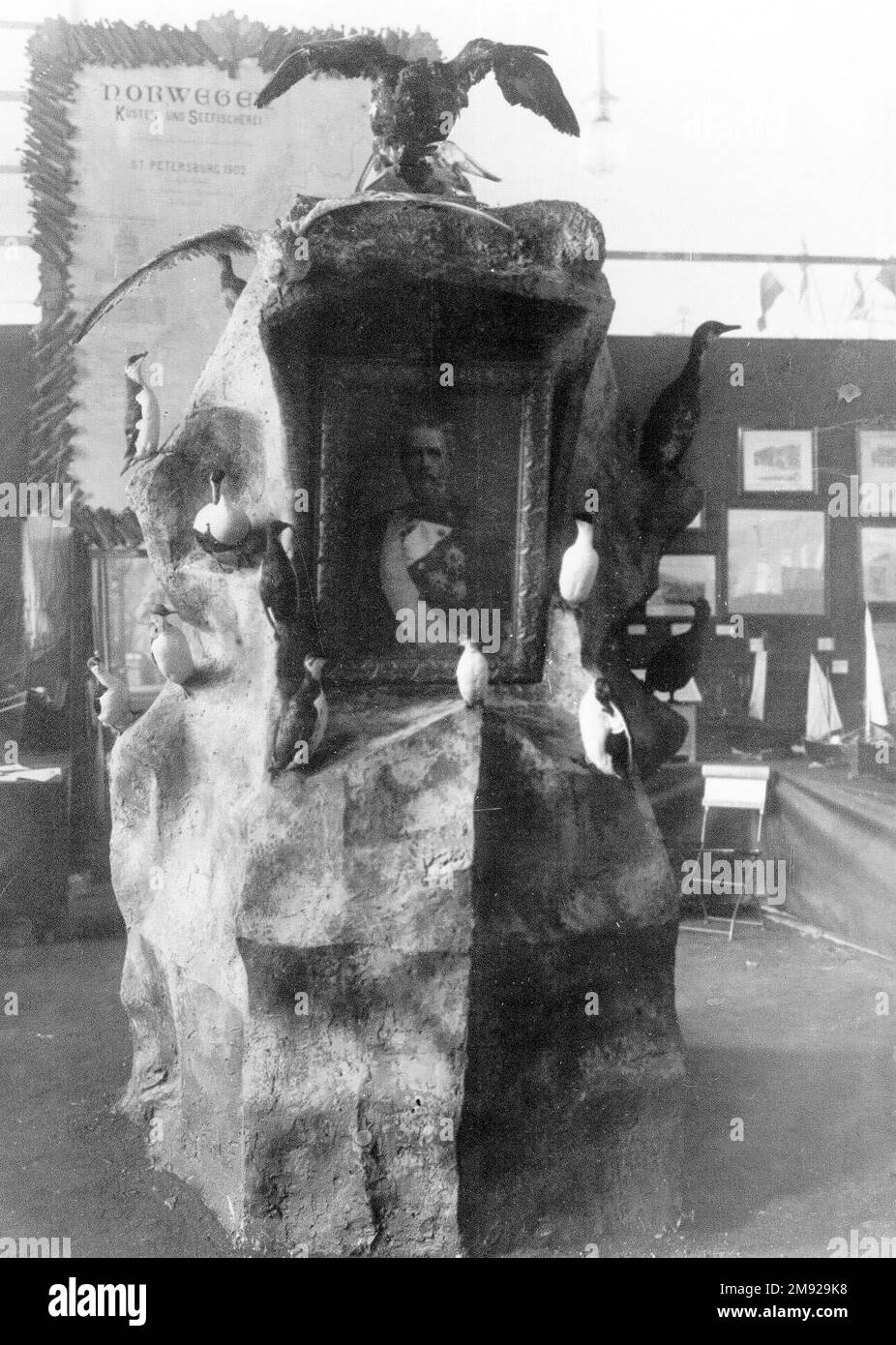 Internationale Fischereiausstellung (Mikhailovsky Manege). Gefüllte Adler, Falken und Wasservögel - Ausstellungen der Ausstellung ca. 1902 Stockfoto