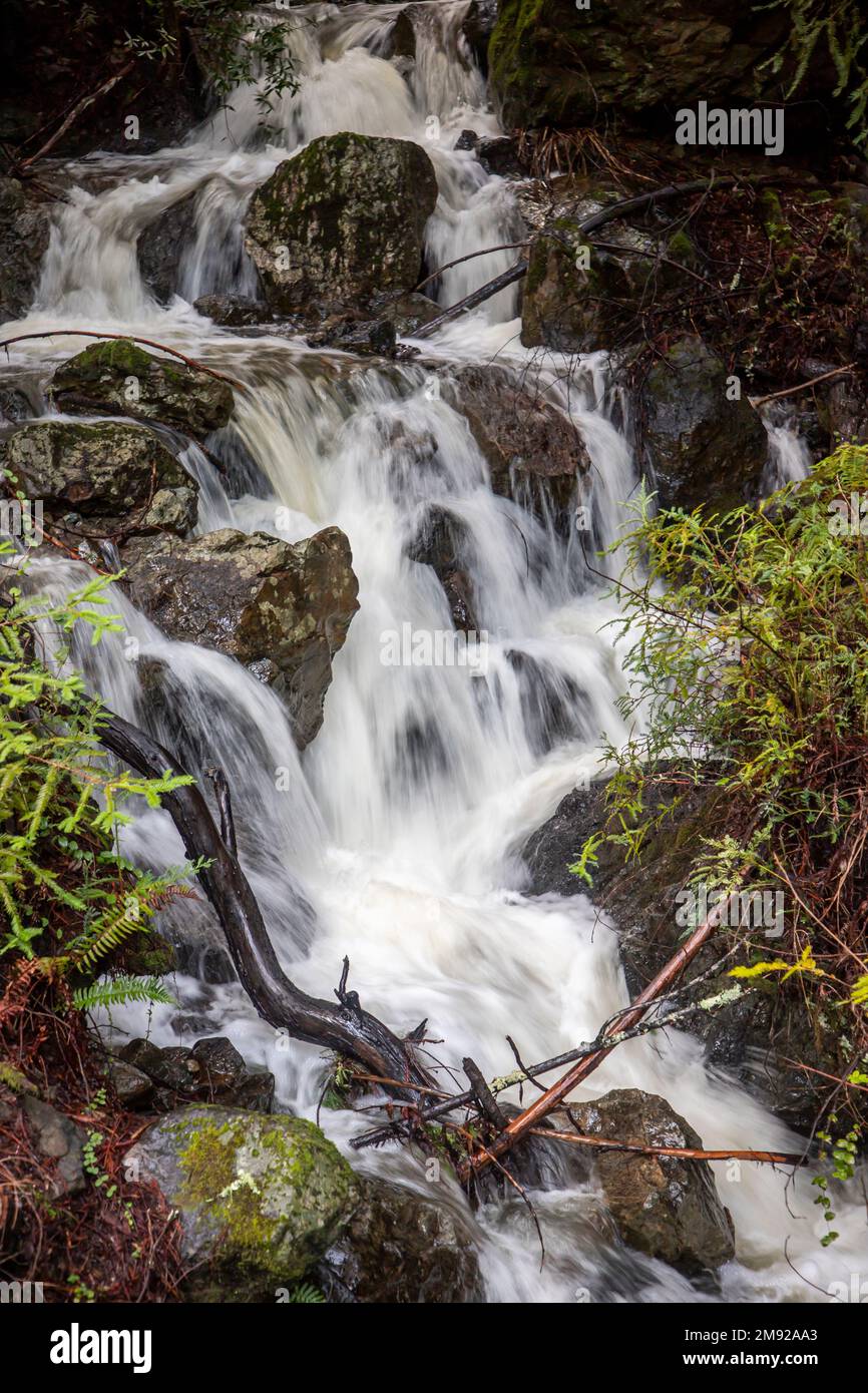 Wasserfälle nach den Winterstürmen entlang des Panoramastrades am Mt. Tamalpais in Marin County, Kalifornien. Stockfoto