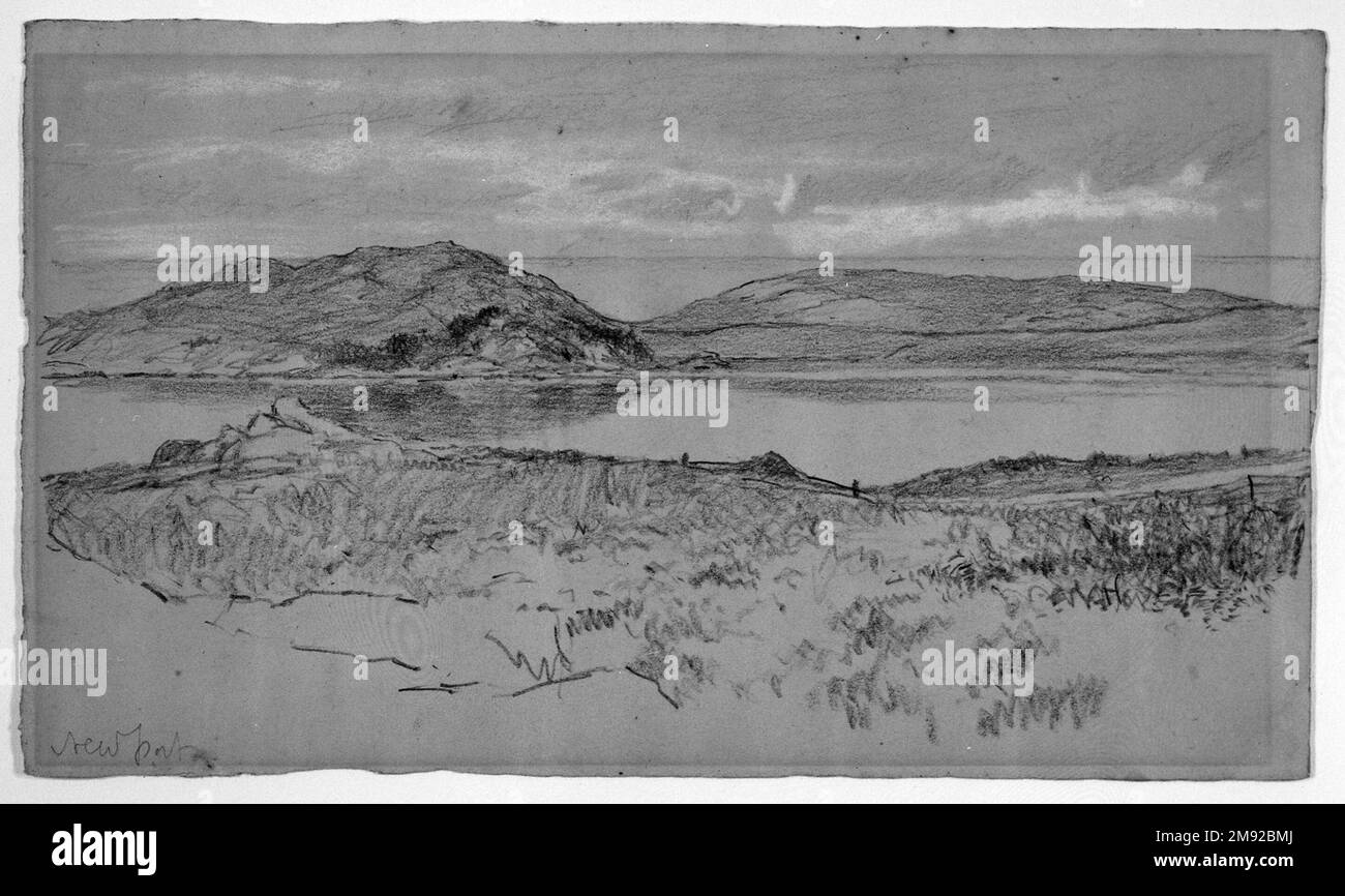 Newport Homer Dodge Martin (Amerikanisch, 1836-1897). Newport, 1881. Schwarz-weißer Conté-Stift auf mitteldickem, leicht strukturiertem, grün-grauem gewebtem Papier, Blatt: 6 1/4 x 10 5/8 cm (15,9 x 27 cm). In dieser plein Air Sketch von Newport, auf der Isle of Wight in England, skizzierte Homer Dodge Martin topographische Formen und benutzte dann freiere Striche von Buntstiften, um Grünflächen und den verschwommenen Himmel darzustellen. Die atmosphärischen und emotionalen Qualitäten dieses Werks zeigen den wachsenden Einfluss der französischen Barbizon-Schule auf amerikanische Künstler. Martin hat ein Gefühl der Einsamkeit in dieser Landschaft gefangen, mit dem Einzigen Stockfoto