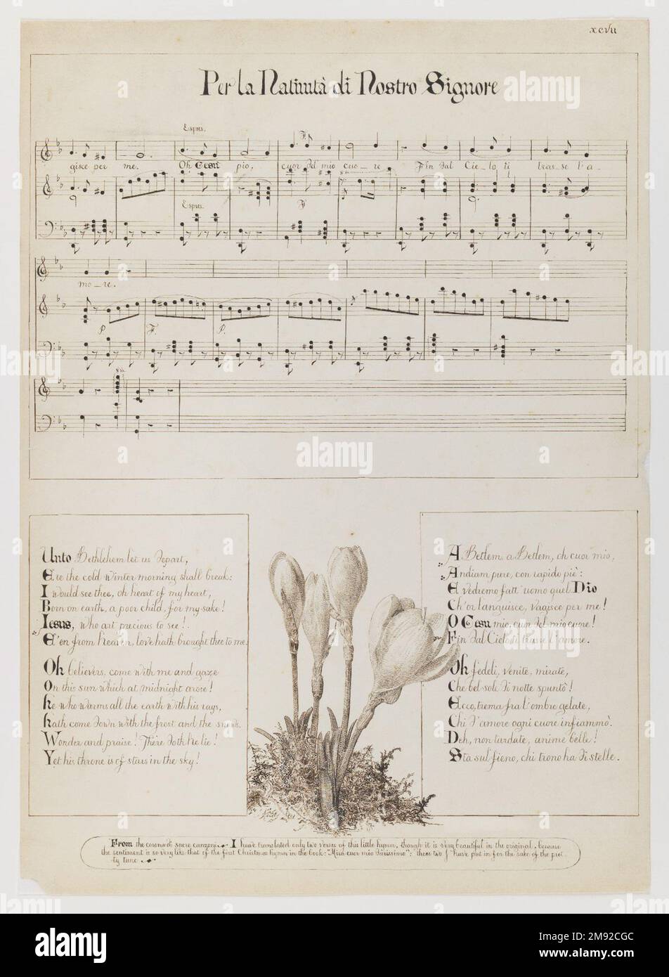 Per la Nativita di Nostro Signore Esther Frances (Francesca) Alexander (amerikanisch, 1837-1917). Per la Nativita di Nostro Signore, 1868-1882. Stift und Tinte auf Papier, Blatt: 15 1/8 x 10 15/16 Zoll (38,4 x 27,8 cm). In dieser exquisiten Zeichnung befindet sich eine Butterblume, die in feinen, präzisen Stiftstrichen in einem verstümmelten Muster gerendert wurde, zwischen den Texten einer italienischen Volkskalade über die Heilige Zita. Obwohl die Blumendekoration nicht explizit mit dem Song zusammenhängt, scheint die Pflanze mit dem Vers zu interagieren, wobei sich einige bladelike Blätter über den Textregistern befinden. Ein Auswanderer, der in Flo lebt Stockfoto