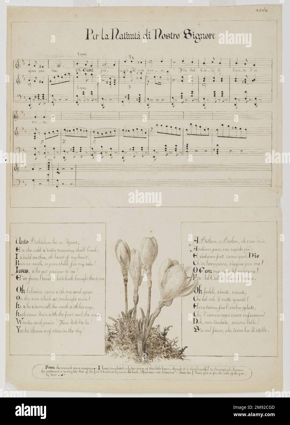 Per la Nativita di Nostro Signore Esther Frances (Francesca) Alexander (amerikanisch, 1837-1917). Per la Nativita di Nostro Signore, 1868-1882. Stift und Tinte auf Papier, Blatt: 15 1/8 x 10 15/16 Zoll (38,4 x 27,8 cm). In dieser exquisiten Zeichnung befindet sich eine Butterblume, die in feinen, präzisen Stiftstrichen in einem verstümmelten Muster gerendert wurde, zwischen den Texten einer italienischen Volkskalade über die Heilige Zita. Obwohl die Blumendekoration nicht explizit mit dem Song zusammenhängt, scheint die Pflanze mit dem Vers zu interagieren, wobei sich einige bladelike Blätter über den Textregistern befinden. Ein Auswanderer, der in Flo lebt Stockfoto
