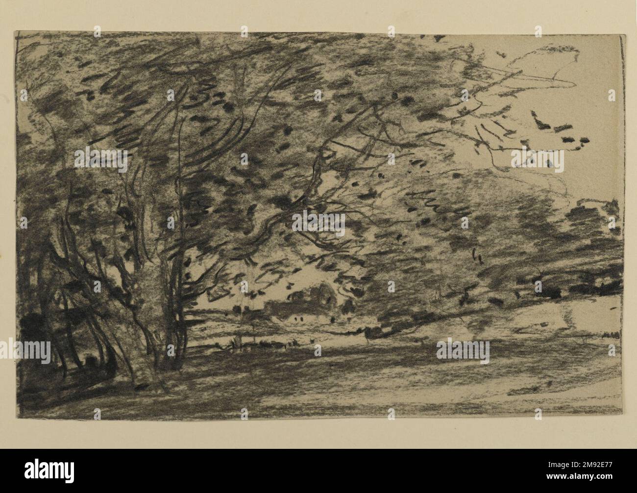 Baumstudie Joseph Frank Currier (amerikanisch, 1843-1909). Untersuchung von Bäumen, ca. 1880. Holzkohle auf Papier, Blatt: 4 3/8 x 6 15/16 Zoll (11,1 x 17,6 cm). Joseph Frank Currier war aufgrund seiner großen Liebe zur Natur ein engagierter Pleinairist, der regelmäßig im Freien skizzierte und die sich ändernden Stimmungen der Natur dokumentieren wollte. Jede dieser Studien vermittelt einen Gesamteindruck der Landschaft und keine botanischen Details. Currier erfasste die sich aufblähenden Baumkronen mit breiten, tonalen Massen aus Reibstoffen und Holzkohleflecken. Er benutzte die Spitze des Sticks, um Äste und andere Formen i zu artikulieren Stockfoto