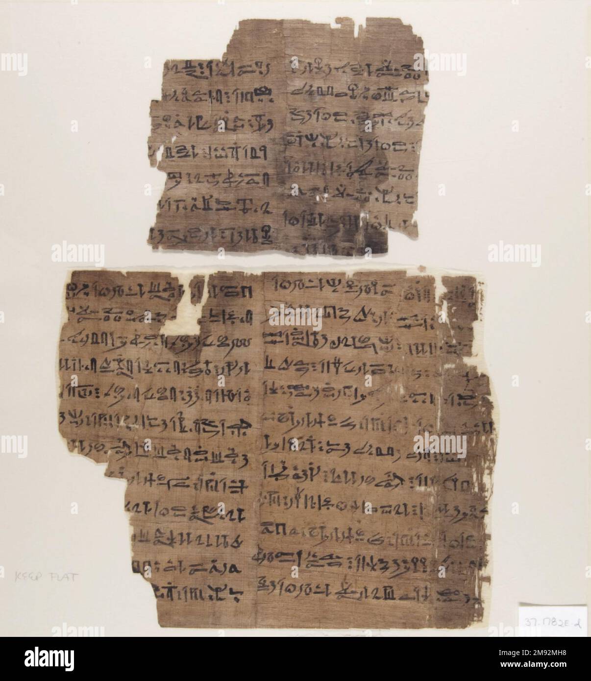 Buch der Toten von Djedkhonsuiuefankh Buch der Toten von Djedkhonsuiuefankh, Ca. 945-712 B.C.E. Papyrus, Tinte, Blatt: 8 1/16 x 9 3/4 Zoll (20,5 x 24,7 cm). Das Buch der Toten enthielt die Zaubersprüche, die der Verstorbene kennen und aufsagen muss, um die Reise ins Jenseits zu beschleunigen. Diese Kopie wurde für einen hoch platzierten Priester des gottes Amun gemacht. Wie bei den meisten anderen Beispielen des Buches der Toten, ist hier nur eine Auswahl von Zaubersprüchen aufgeführt. Auf der linken Seite befinden sich die Spells 15 und 17. Die Abbildung zeigt Djedkhonsuiuefankh vor dem sonnengott Re-Hor-akhty. Die Textspalten in der Abbildung zeigen den gott“ Stockfoto