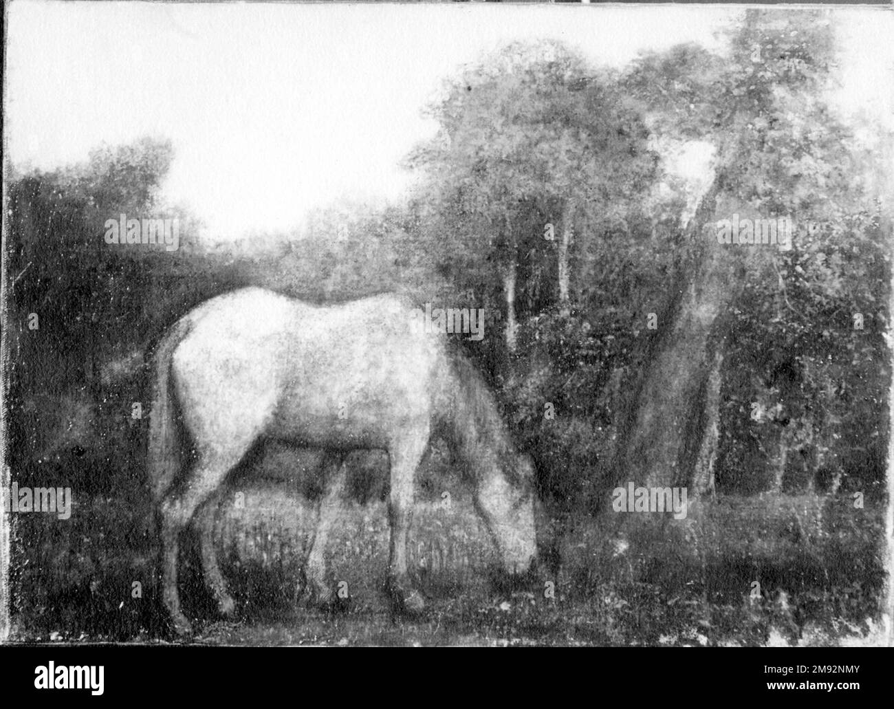 Das Grasende Pferd Albert Pinkham Ryder (Amerikanisch, 1847-1917). Das Graspferd, Mitte 1870er. Öl auf Segeltuch, 10 3/16 x 14 1/8 Zoll (25,8 x 35,8 cm). American Art Mitte 1870er Stockfoto