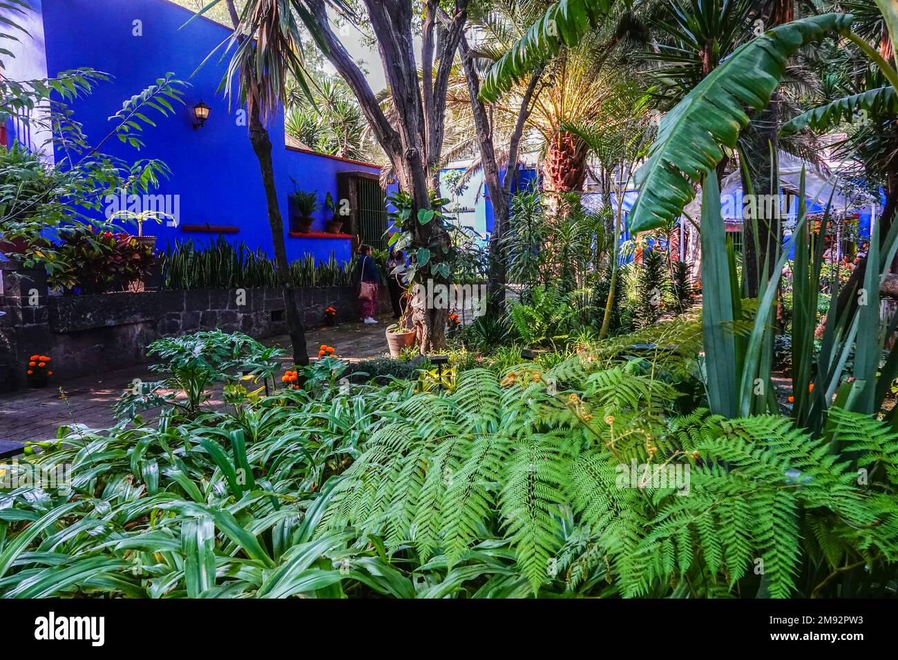 Die Gärten im Frida Kahlo Museum, auch bekannt als das Blaue Haus, das dem Leben und Werk des mexikanischen Künstlers Frida Kahlo gewidmet ist, im Viertel Colonia del Carmen in Coyoacan, Mexiko-Stadt, Mexiko. Stockfoto