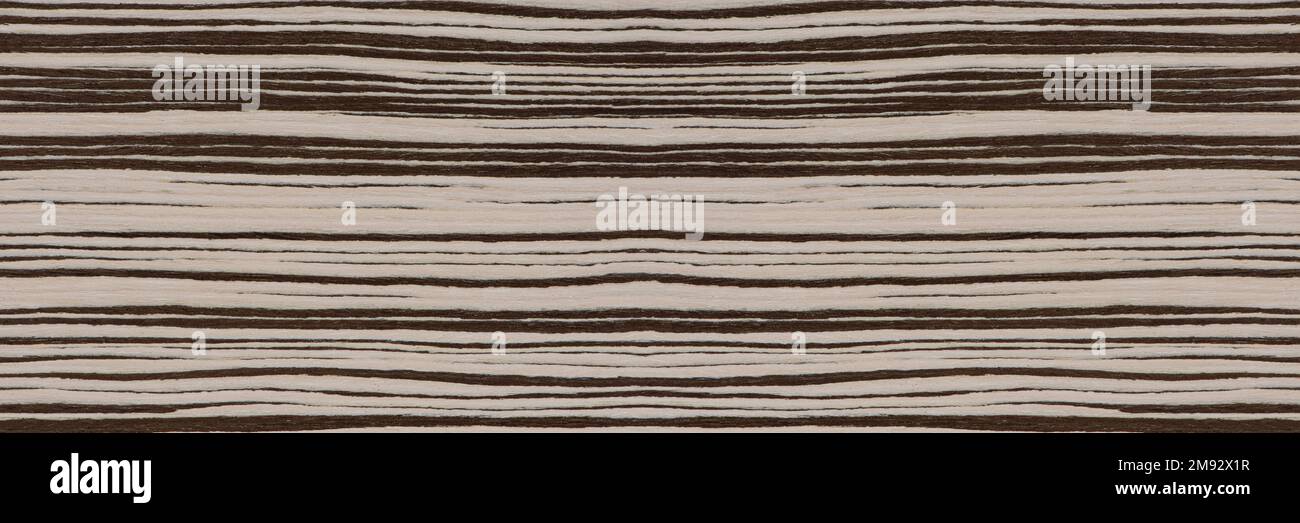 Struktur von Naturholz mit horizontalen schwarz-weißen Streifen. Zebraholzstruktur Nahaufnahme. Hochwertiger Holzhintergrund Stockfoto