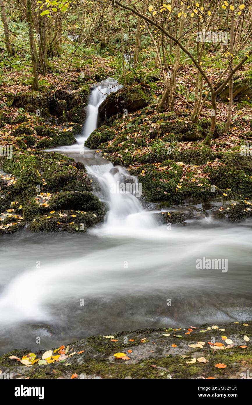 Lange Exposition eines Wasserfalls auf dem East Lyn Fluss Bei Watersmeet im Exmoor National Park Stockfoto