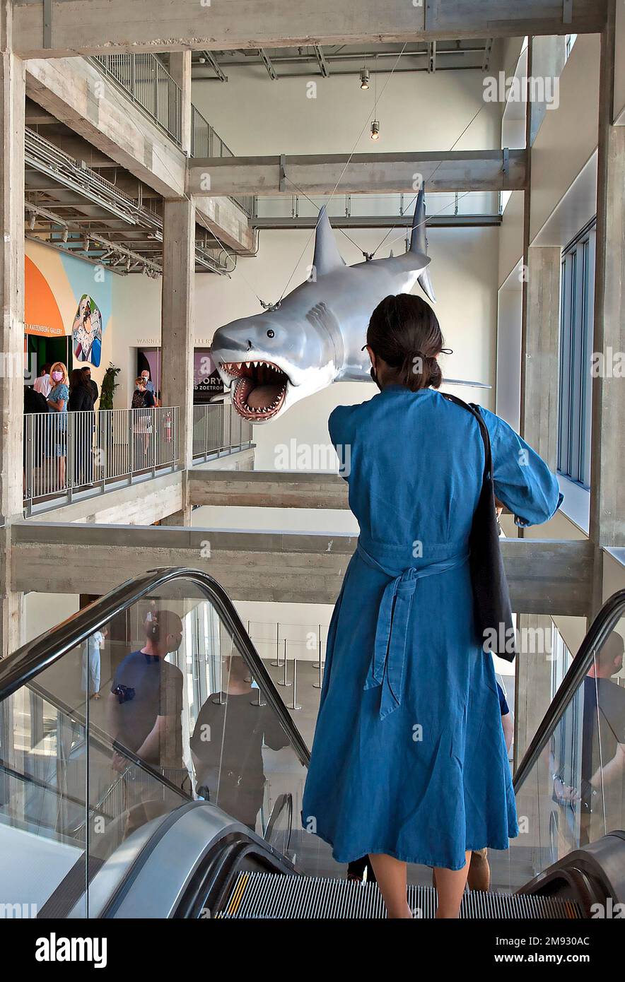 Hai-Modell aus dem Hai im Academy Museum of Motion Pictures in Los Angeles, Kalifornien Stockfoto
