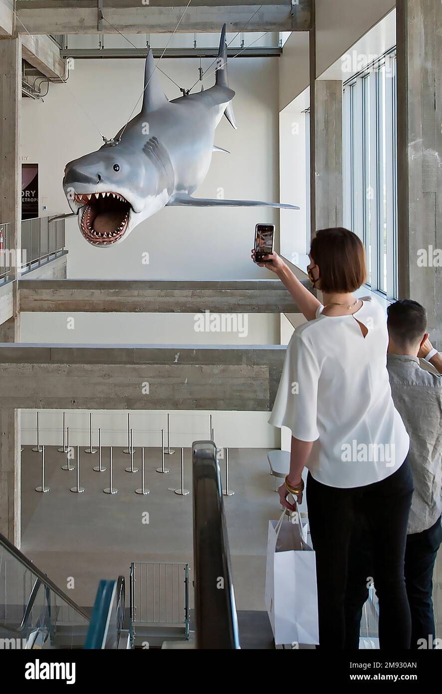 Hai-Modell von Jaws im Academy Museum of Motion Pictures in Los Angeles, Kalifornien Stockfoto