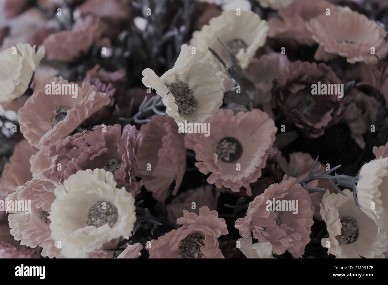 Getrocknete Blumen auf dem Boden Stockfoto