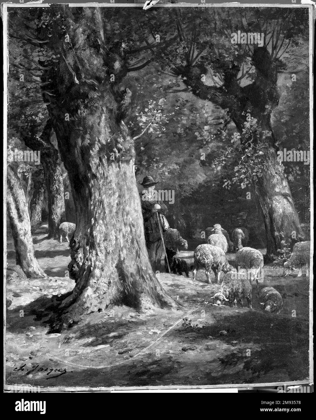 Old Forest Charles-Emile Jacque (Französisch, 1813-1894). Der Alte Wald, 1860-1870. Öl auf Segeltuch, 32 1/2 x 26 1/4 Zoll (82,6 x 66,7 cm). Im Jahr 1849 ließ sich Charles-Emile Jacque in Barbizon nieder, einem Dorf in der Nähe dessen, was zum Zentrum der Landschaftsmalerei in Frankreich geworden war: Dem riesigen Wald von Fontainebleau. In diesem Jahr fuhren täglich acht Züge direkt von Paris nach Barbizon und brachten Tausende von „Naturtouristen“ aus der Stadt. Hier stellt Jacque einen blau gesmokten Bauern in der Nähe eines der berühmten alten Bäume von Fontainebleau dar, ein Bild der Arbeit, das sanft und zeitlos wirkt. Der Wald ist es Stockfoto