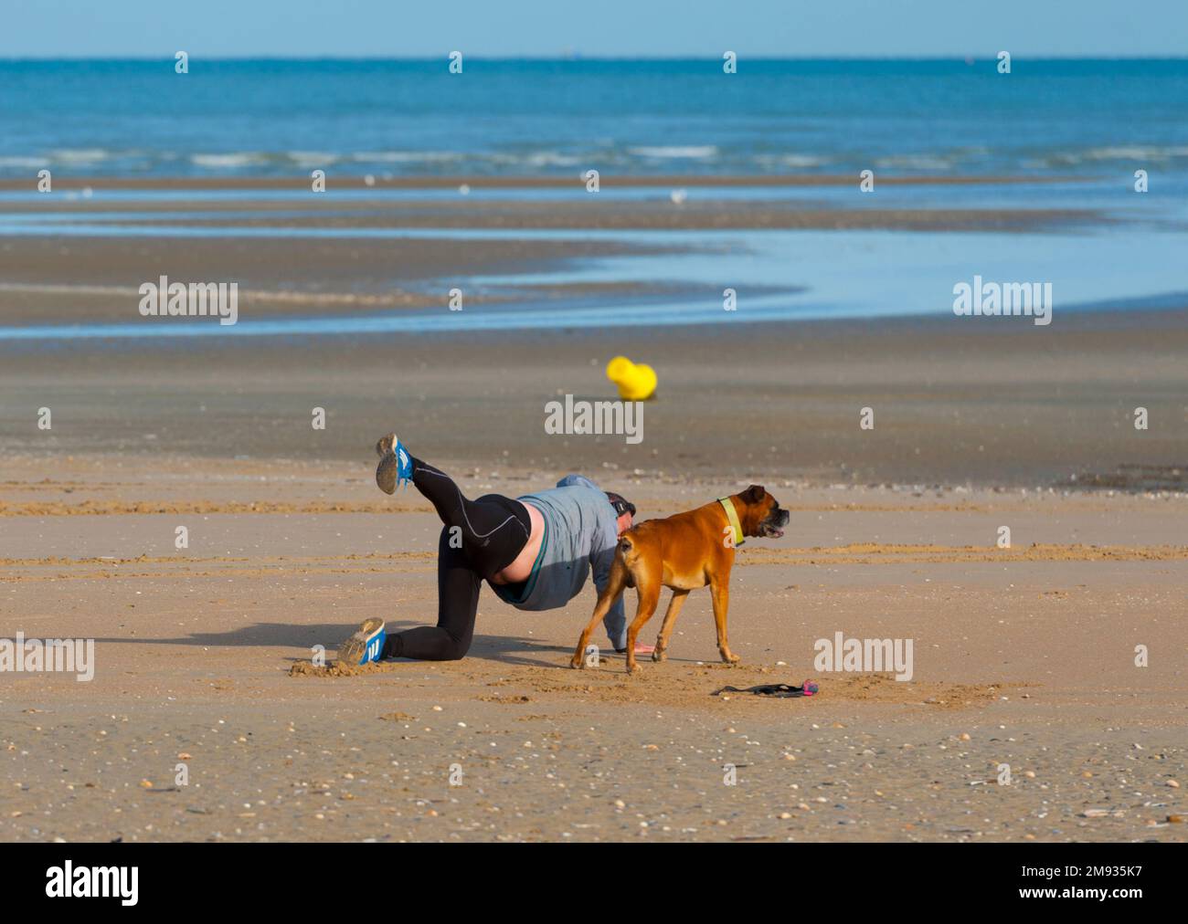 Frankreich, Calvados (14), Calvados (14), Cabourg, Strand während der Frühlingsflut, Jogger streckt sich mit seinem Boxerhund Stockfoto