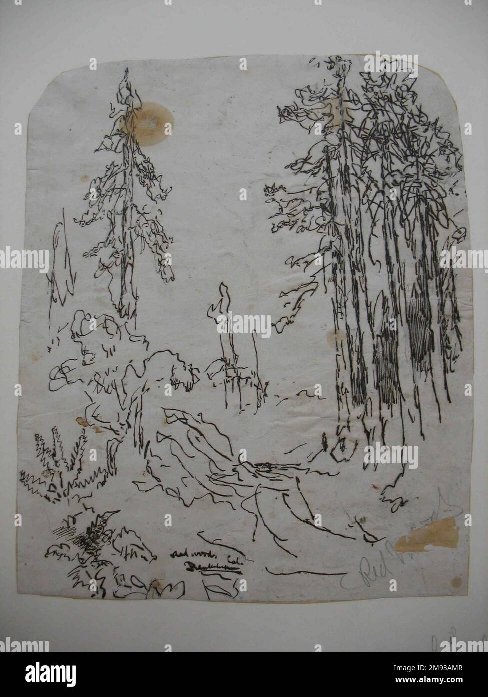 Mammutbäume Ralph Albert Blakelock (Amerikanisch, 1847-1919). , Ca. 1869-1871. Stift und Tinte über Graphit auf Papier, das auf dem Trägerpapier befestigt ist, Blatt (unregelmäßig): 11 7/16 x 9 3/8 Zoll (29,1 x 23,8 cm). Amerikanische Kunst ca. 1869-1871 Stockfoto