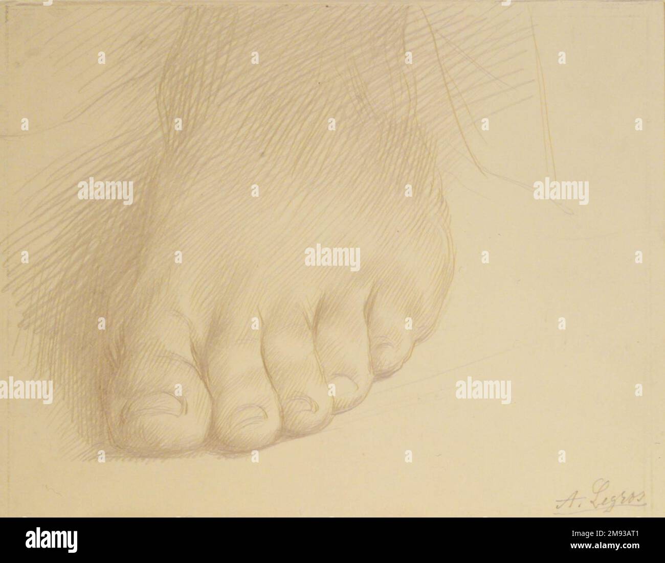 Untersuchung eines Fusses Alphonse Legros (Französisch, 1837-1911). Untersuchung eines Fußes, n. d. Metallspitze auf schwerem gewebtem Papier, Blatt: 5 x 6 5/8 Zoll (12,7 x 16,8 cm). European Art n.d. Stockfoto