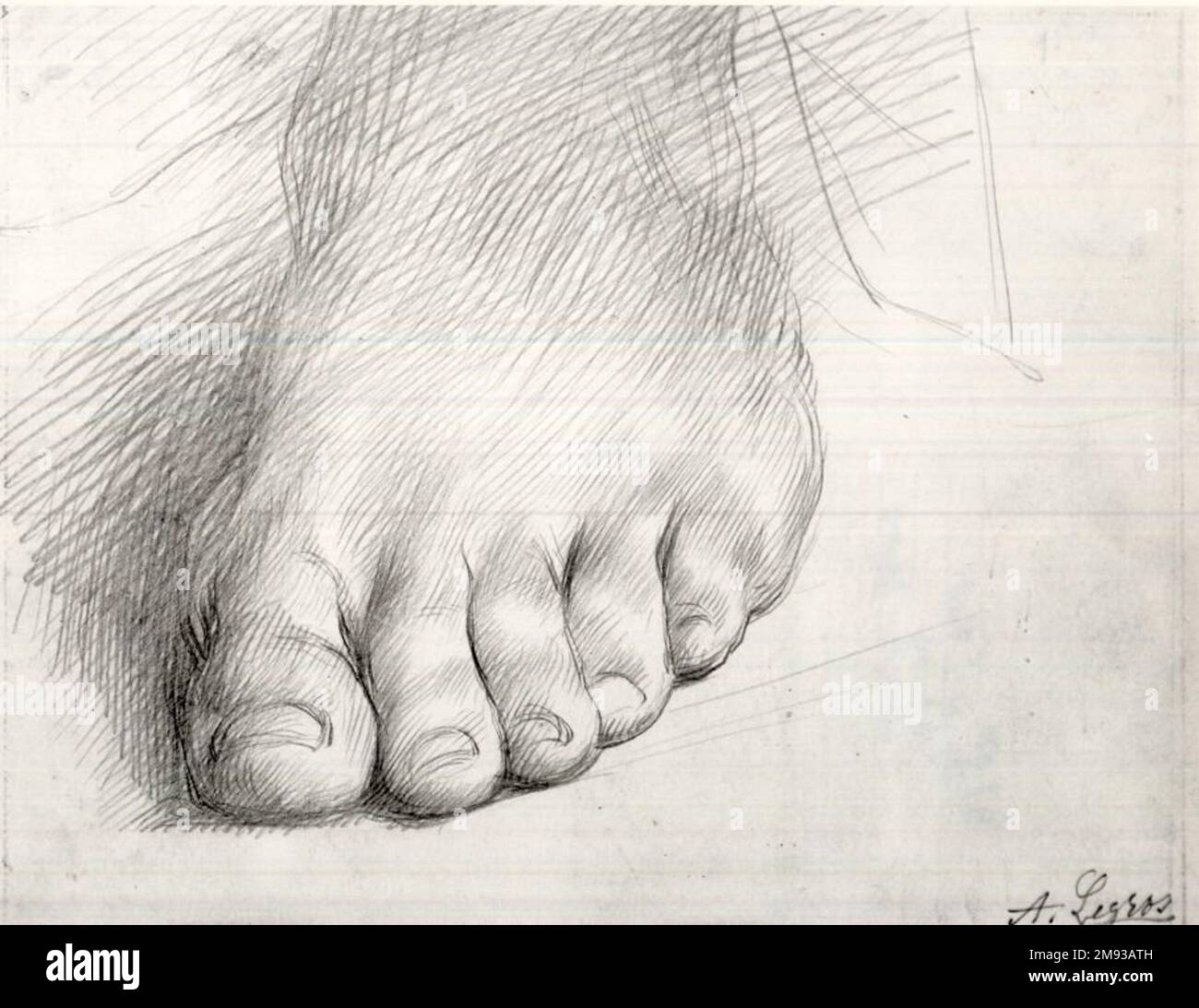 Untersuchung eines Fusses Alphonse Legros (Französisch, 1837-1911). Untersuchung eines Fußes, n. d. Metallspitze auf schwerem gewebtem Papier, Blatt: 5 x 6 5/8 Zoll (12,7 x 16,8 cm). European Art n.d. Stockfoto