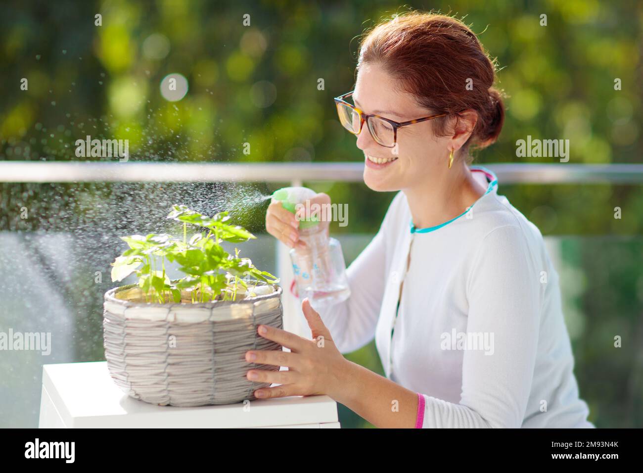 Eine Frau, die Balkonpflanzen bewässert. Kräutergarten auf der Terrasse. Junge Frau, die Wasser auf Topfkräuter spritzt. Basil in einem Topf auf der Apartmentterrasse. Stockfoto