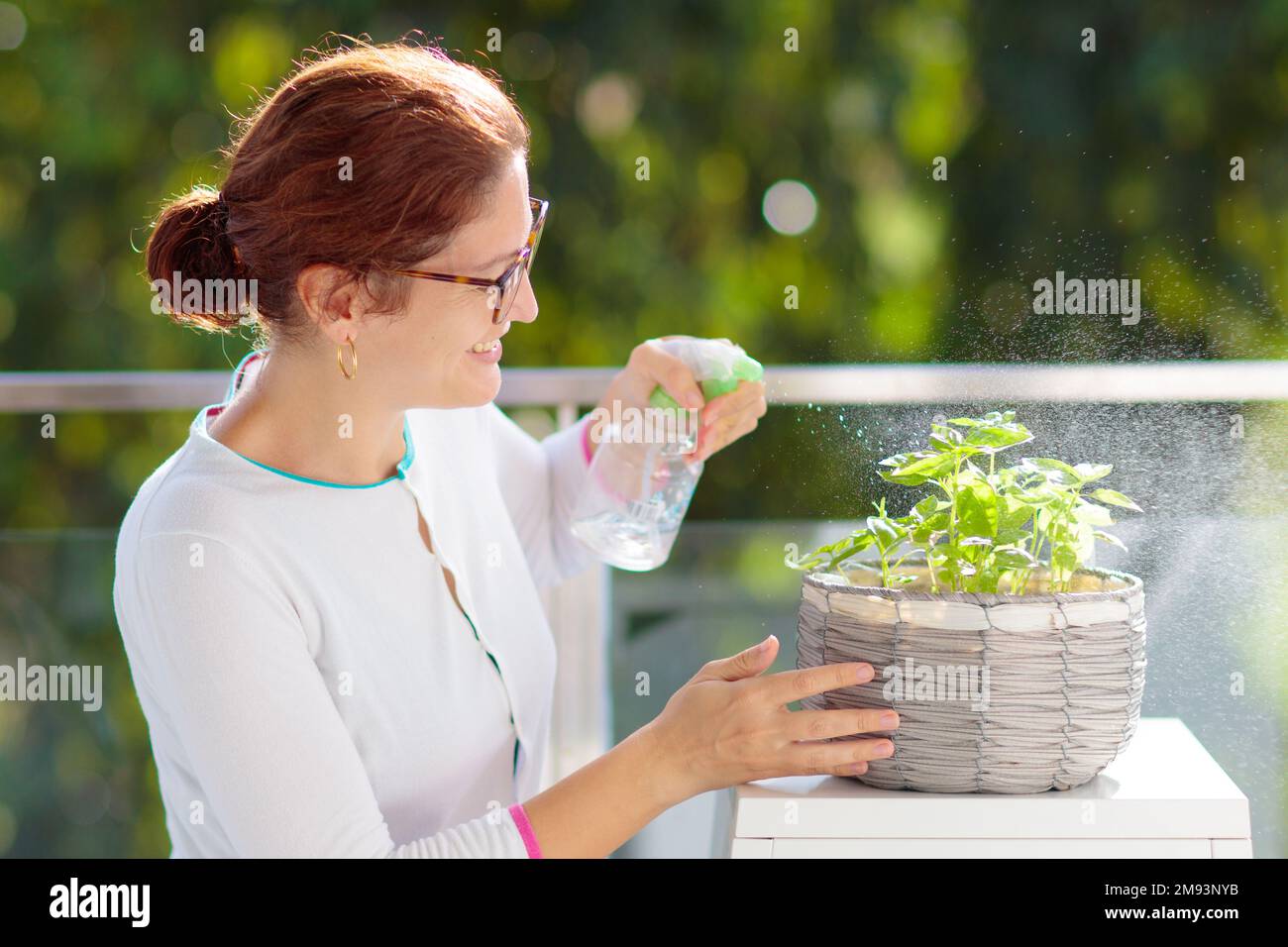 Eine Frau, die Balkonpflanzen bewässert. Kräutergarten auf der Terrasse. Junge Frau, die Wasser auf Topfkräuter spritzt. Basil in einem Topf auf der Apartmentterrasse. Stockfoto