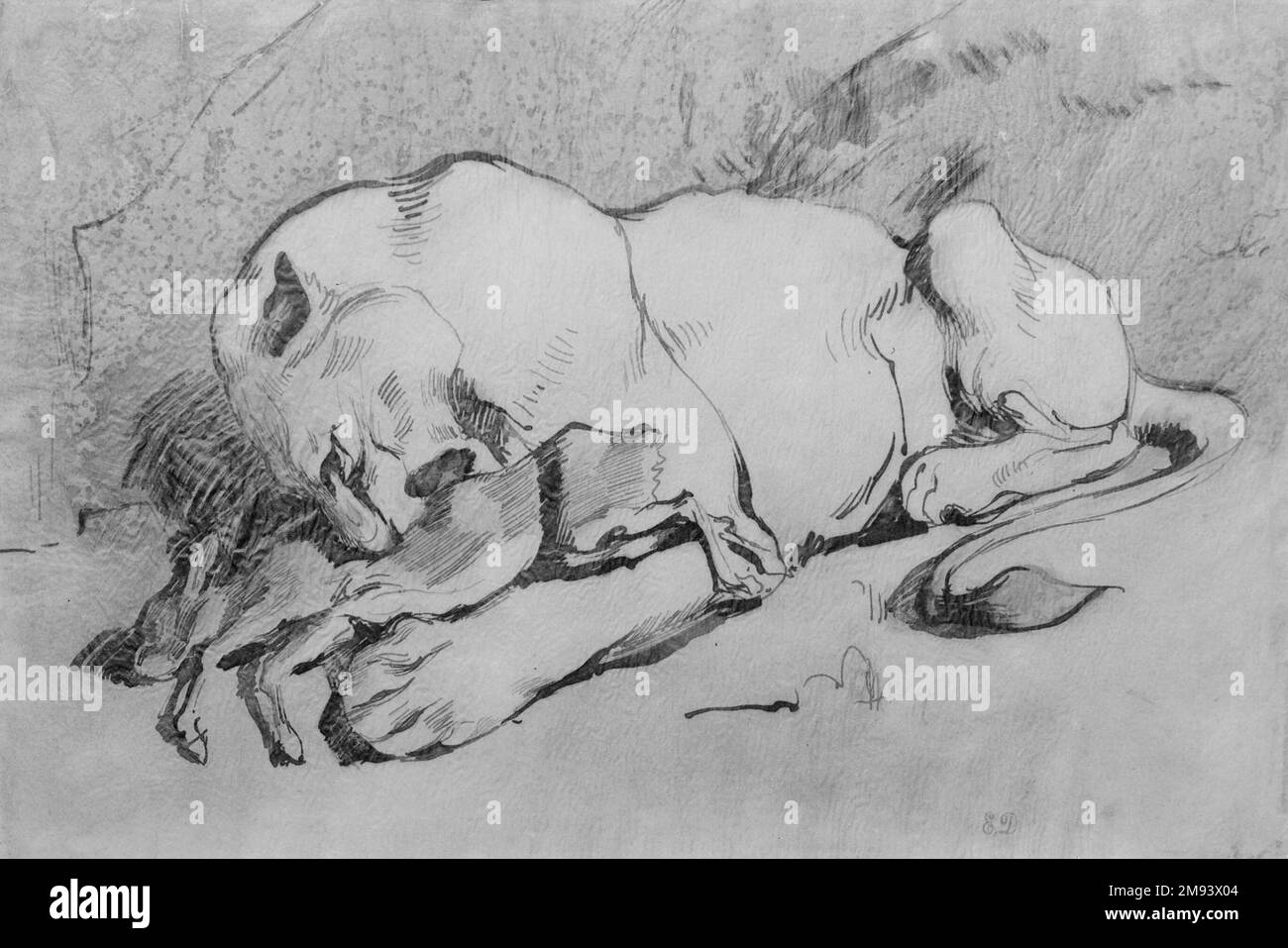 Löwin verschlingt ein Kaninchen Eugène Delacroix (Französisch, 1798-1863). Löwin, die ein Kaninchen verschlingt. Stift und Tinte mit rötlichem Waschmittel auf Papier, 9 x 14 1/8 Zoll (22,9 x 35,8 cm). Europäische Kunst Stockfoto